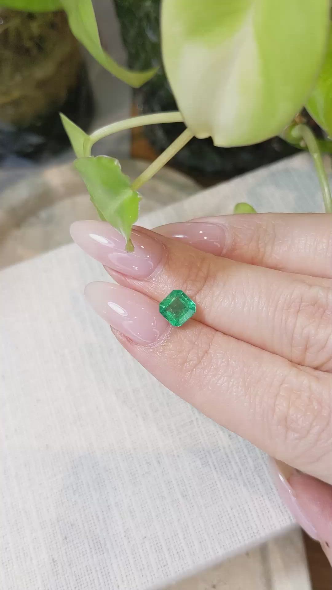 1.26 Ct. Emerald from Zambia Size Video