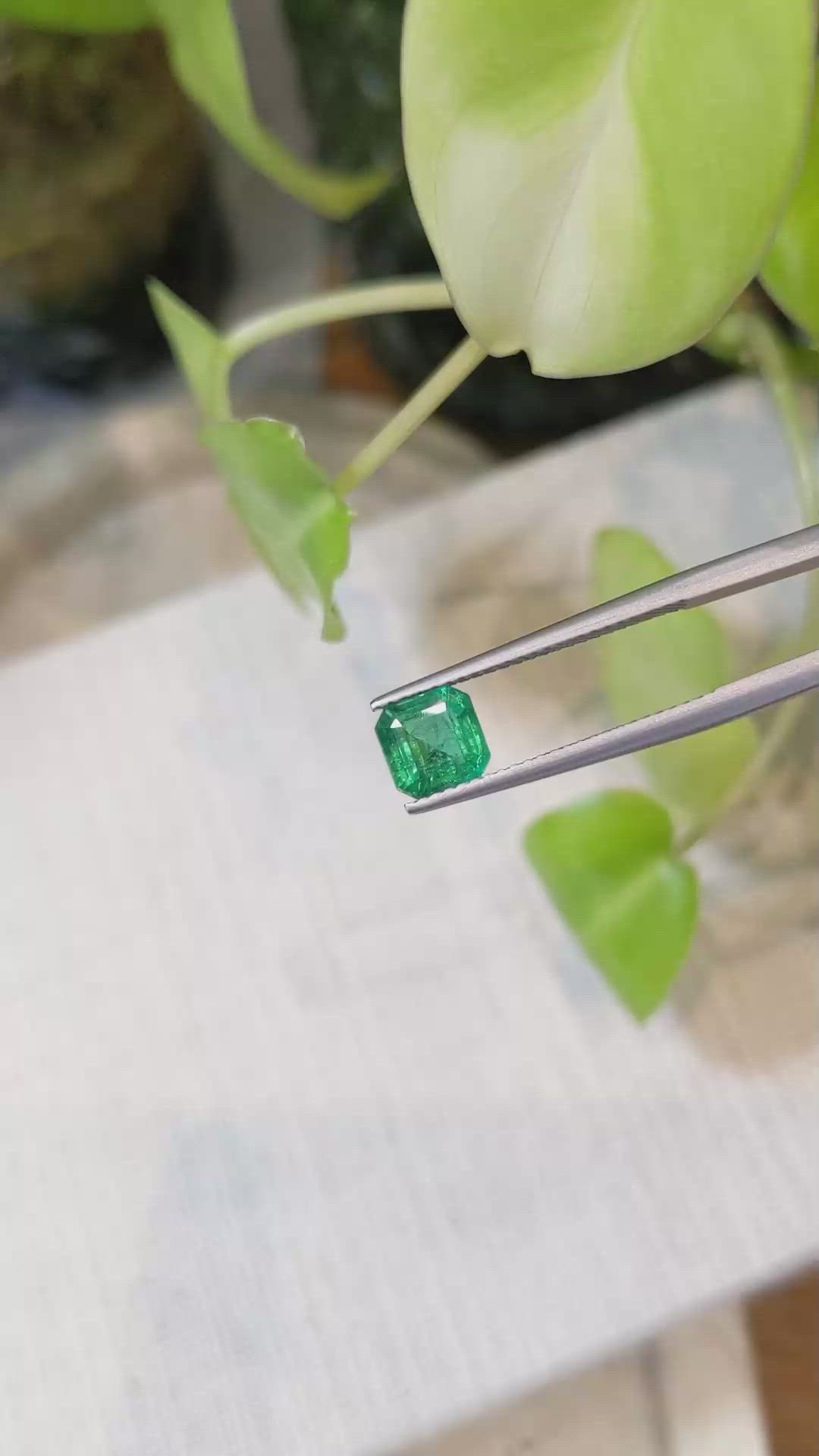 1.26 Ct. Emerald from Zambia Size Video