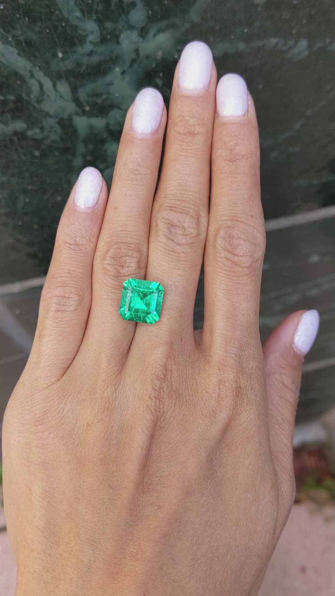 5.69 Ct. Emerald from Colombia Size Video