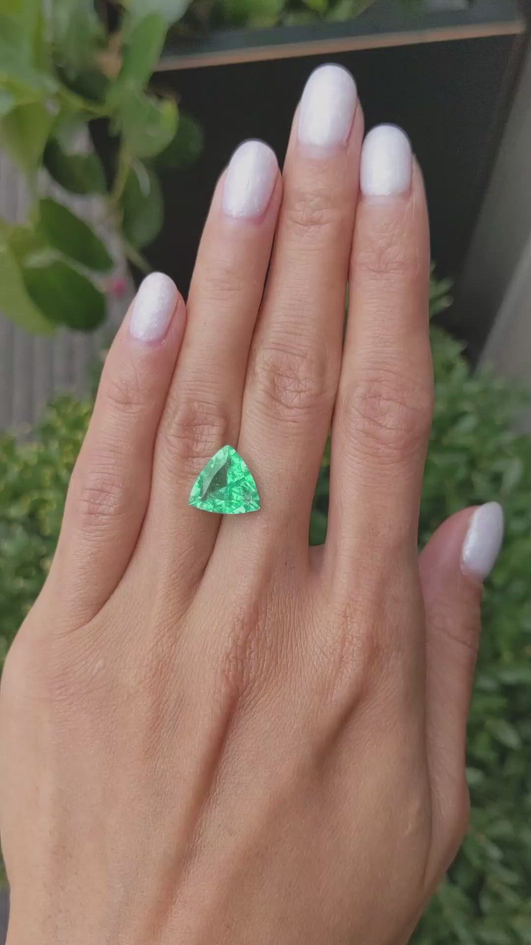 4.21 Ct. Emerald from Colombia Size Video