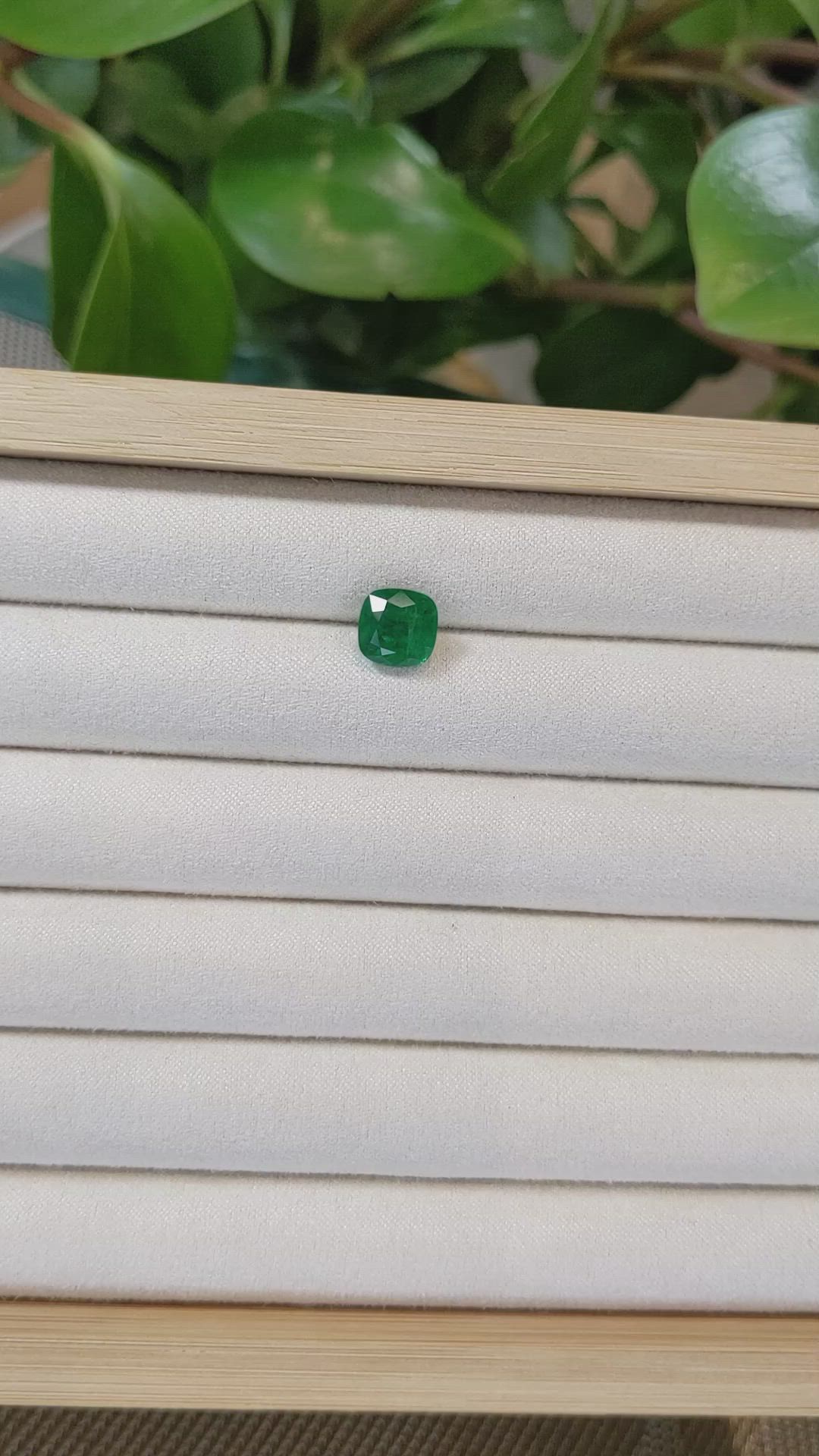 2.96 Ct. Emerald from Zambia Size Video