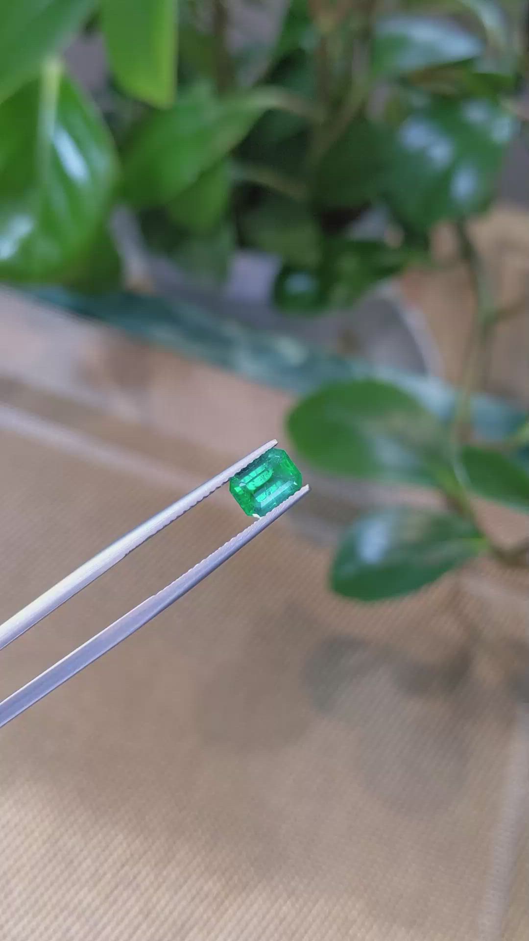 1.27 Ct. Emerald from Zambia Size Video