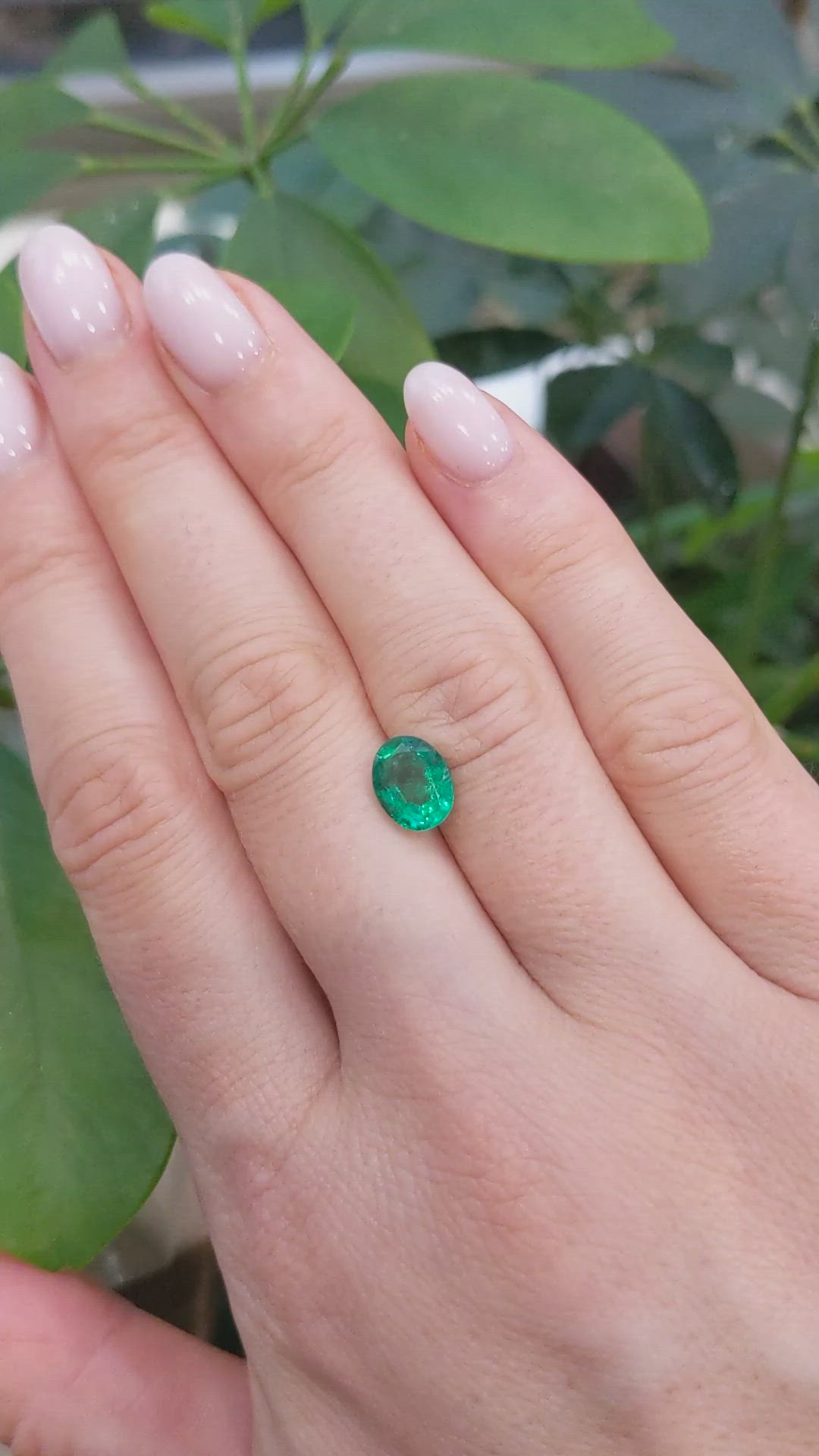1.61 Ct. Emerald from Zambia Size Video