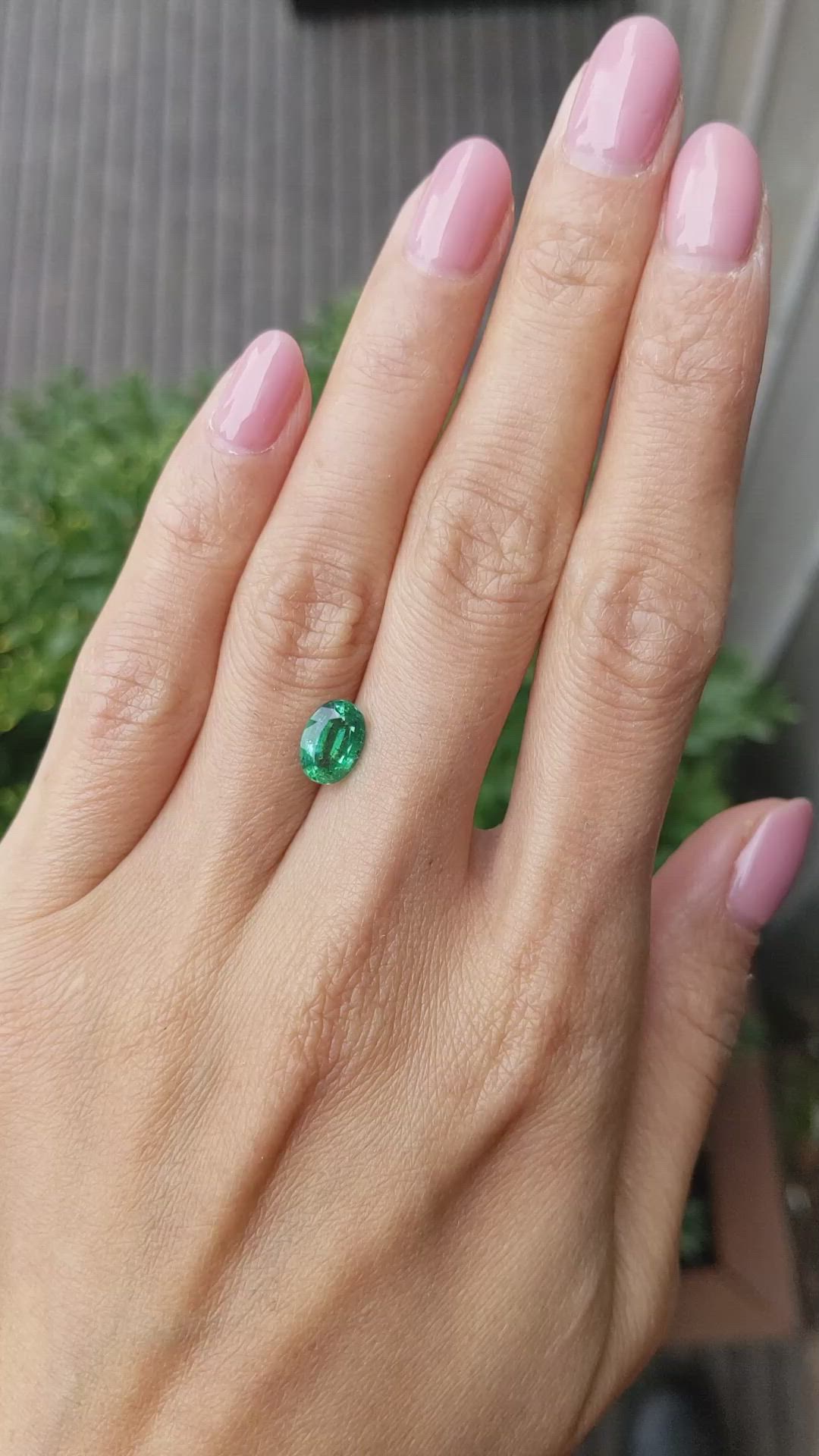 1.48 Ct. Emerald from Zambia Size Video