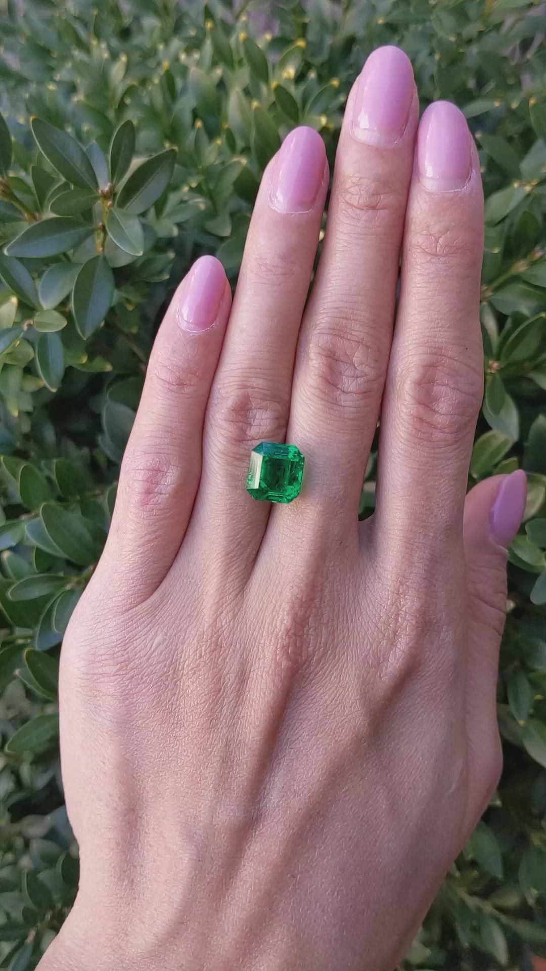 5.88 Ct. Emerald from Zambia Size Video