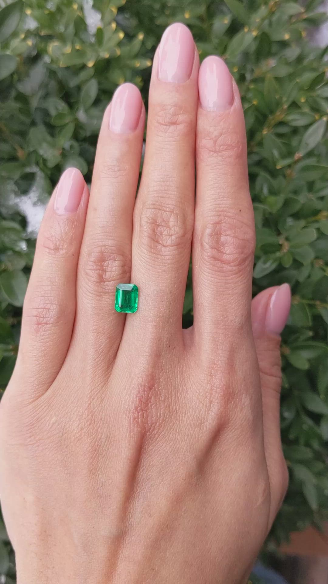 1.59 Ct. Emerald from Zambia Size Video