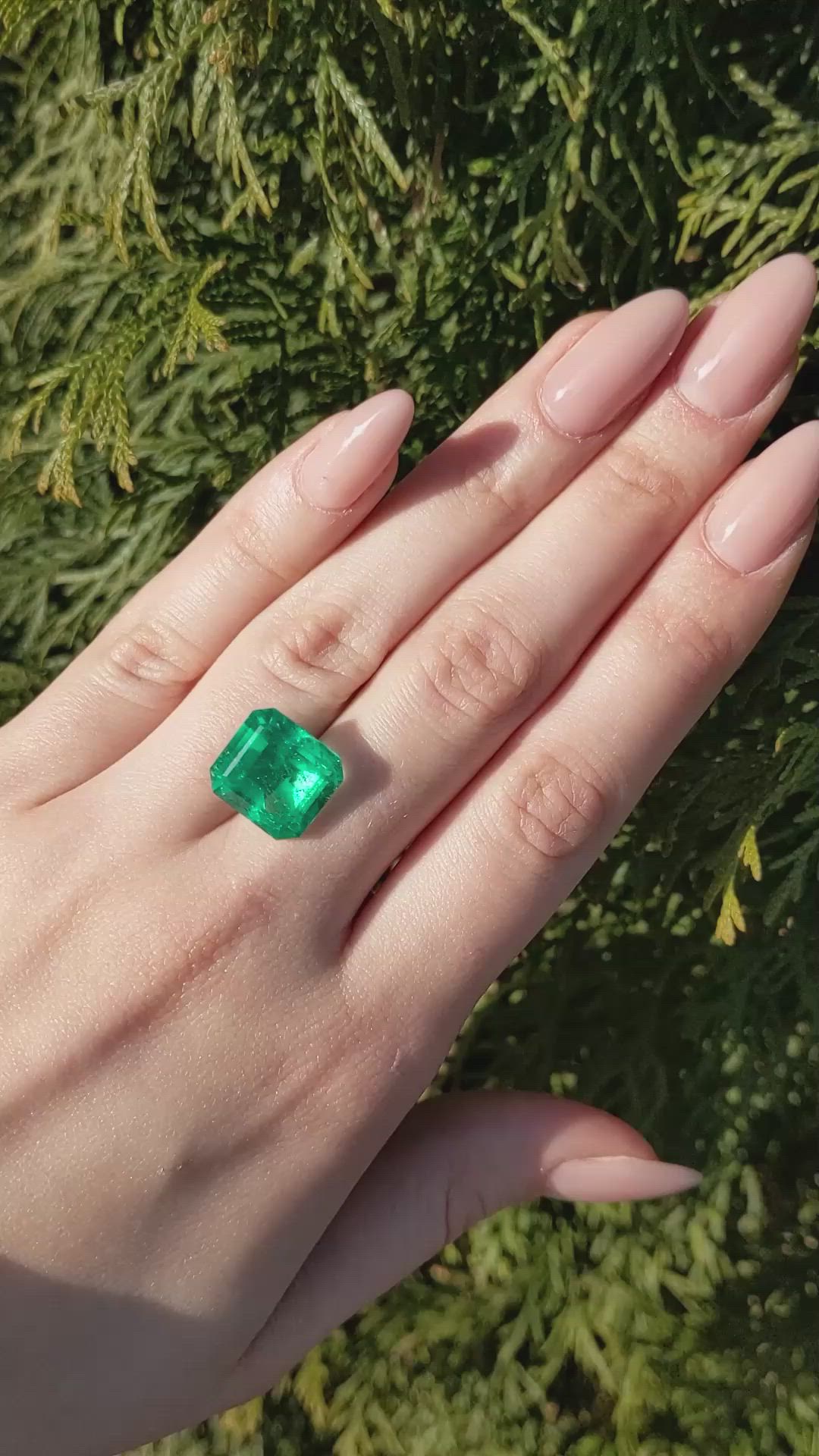 11.47 Ct. Emerald from Colombia Size Video