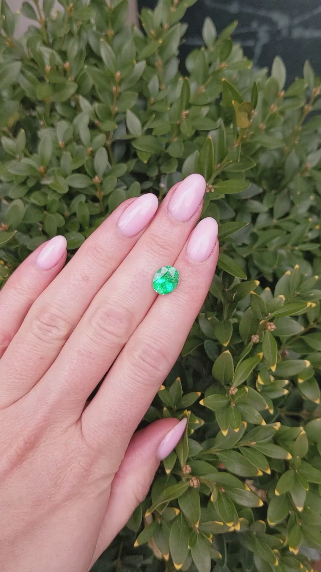 2.22 Ct. Emerald from Colombia Size Video