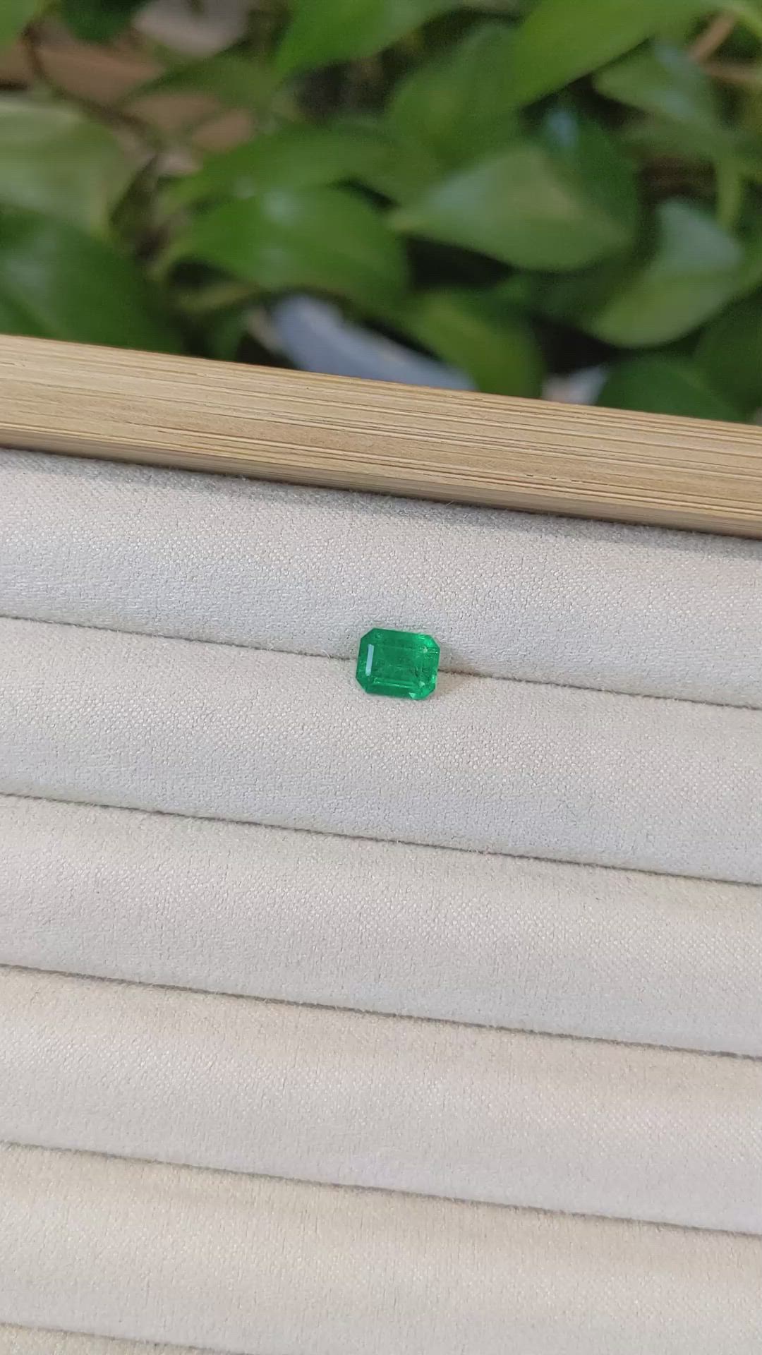 1.20 Ct. Emerald from Zambia Size Video