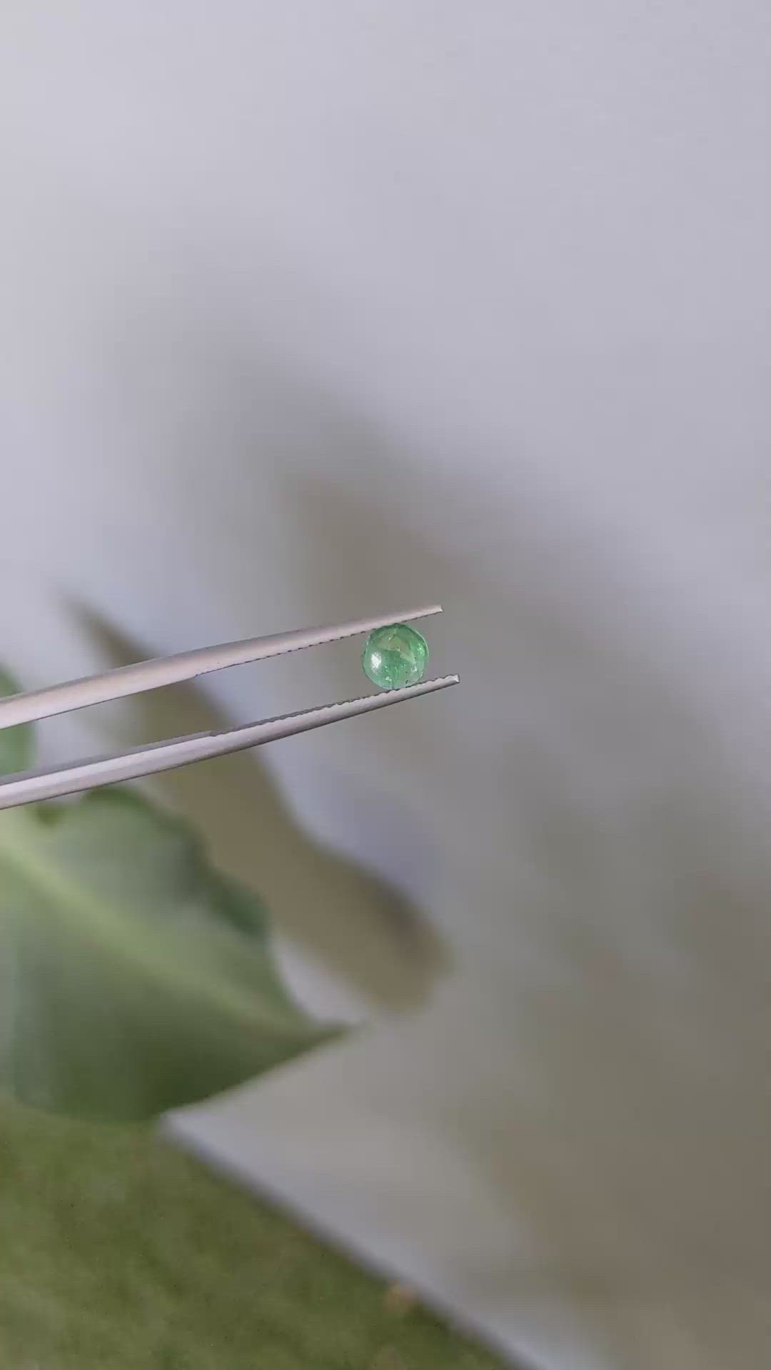 0.50 Ct. Cabochon Emerald from Zambia Size Video