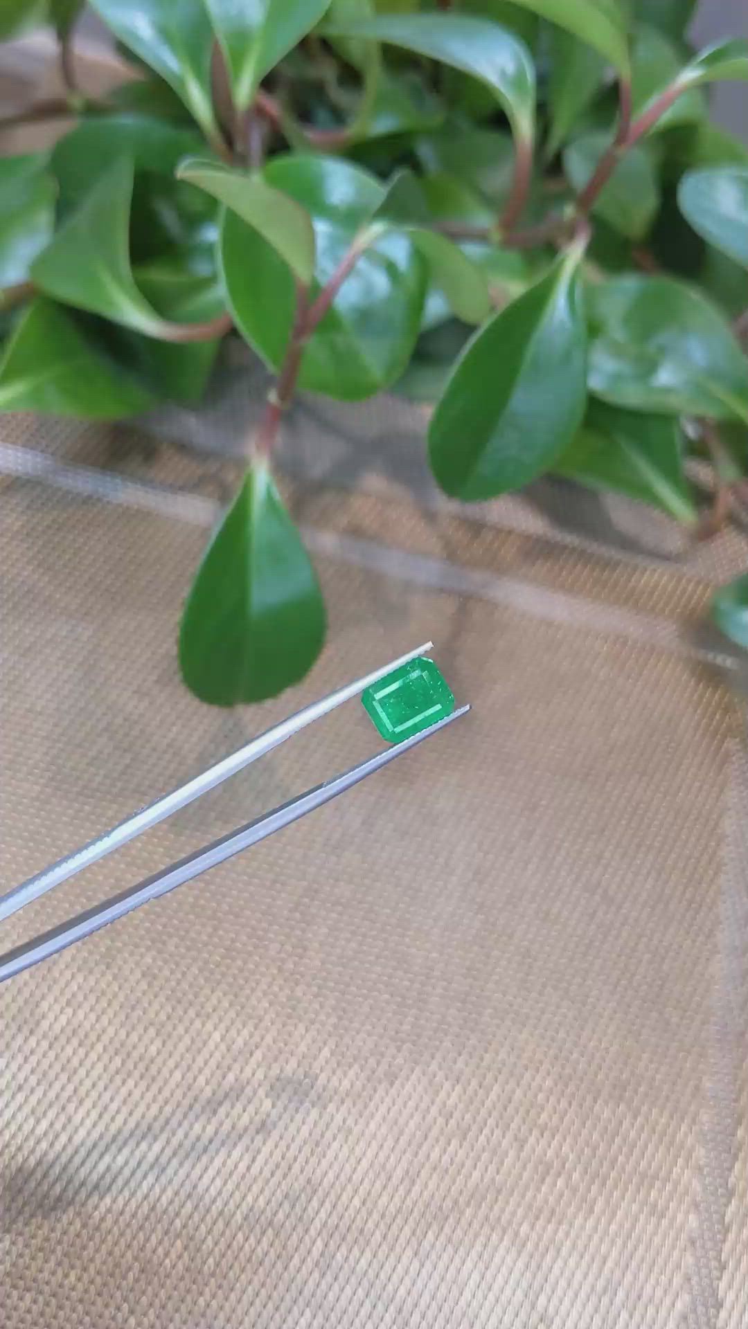 3.50 Ct. Emerald from Zambia Size Video