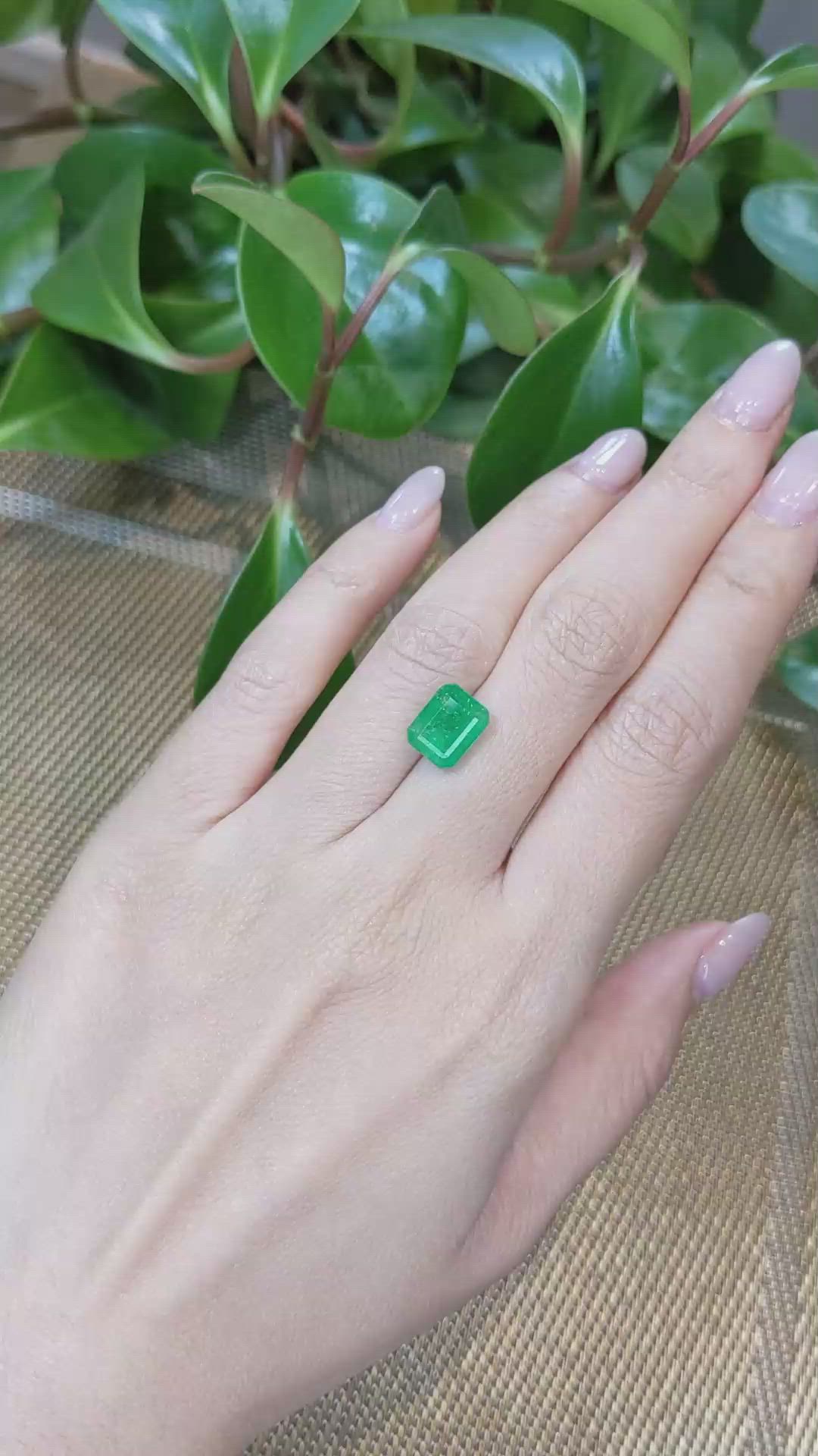 3.50 Ct. Emerald from Zambia Size Video