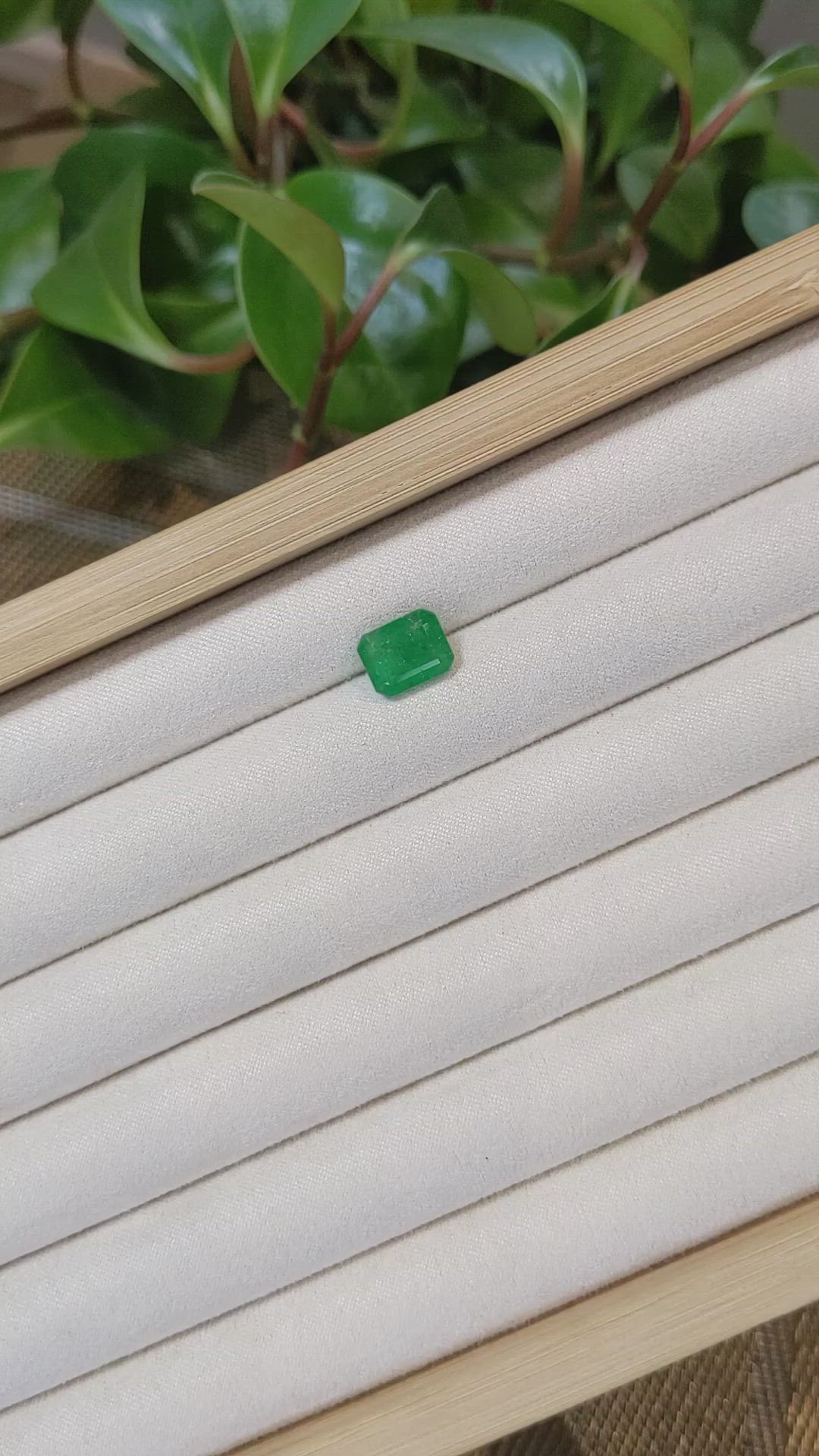 3.50 Ct. Emerald from Zambia Size Video