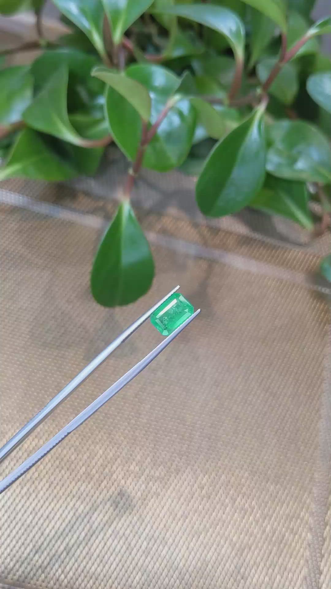 3.25 Ct. Emerald from Zambia Size Video