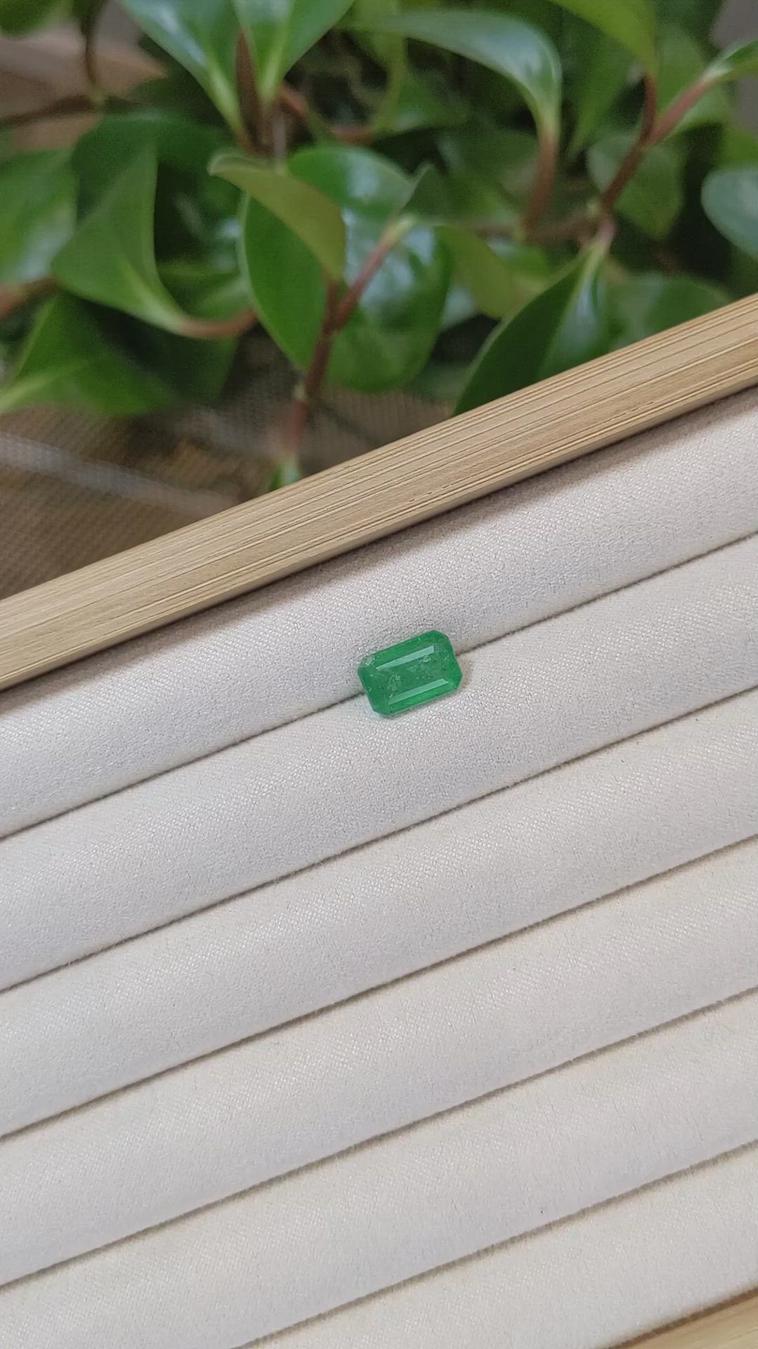 3.25 Ct. Emerald from Zambia Size Video