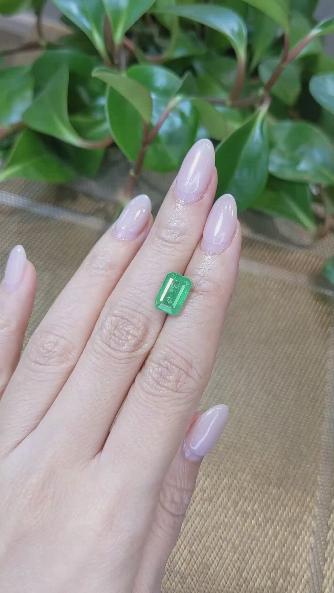 3.25 Ct. Emerald from Zambia Size Video