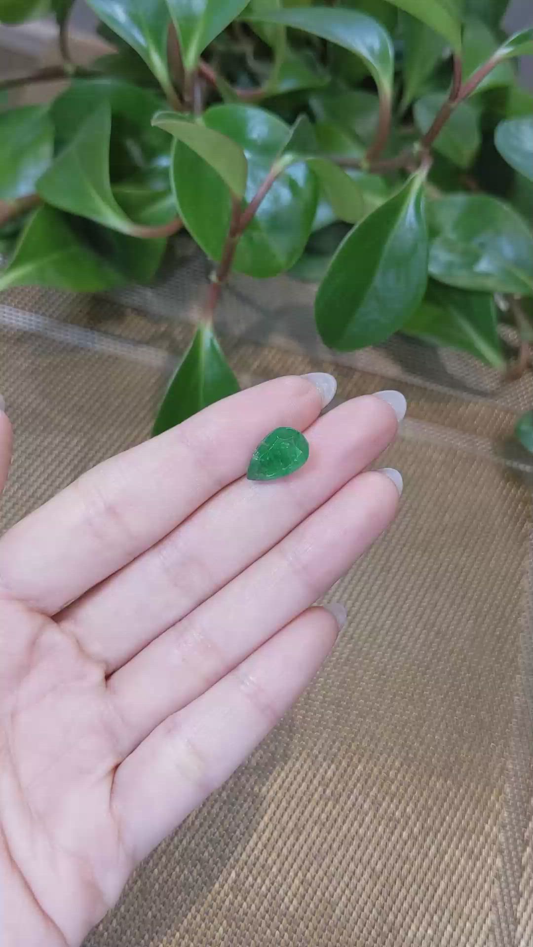 3.69 Ct. Emerald from Zambia Size Video