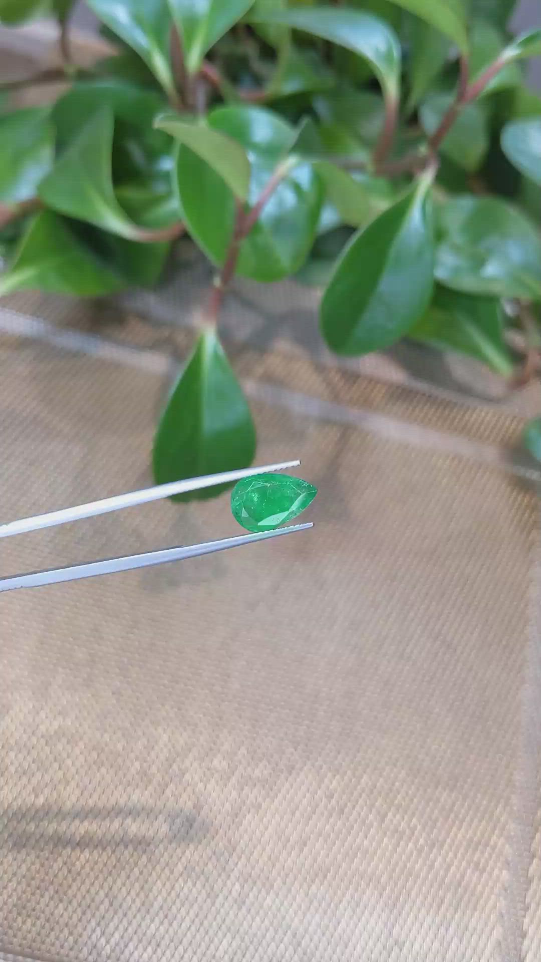 3.69 Ct. Emerald from Zambia Size Video