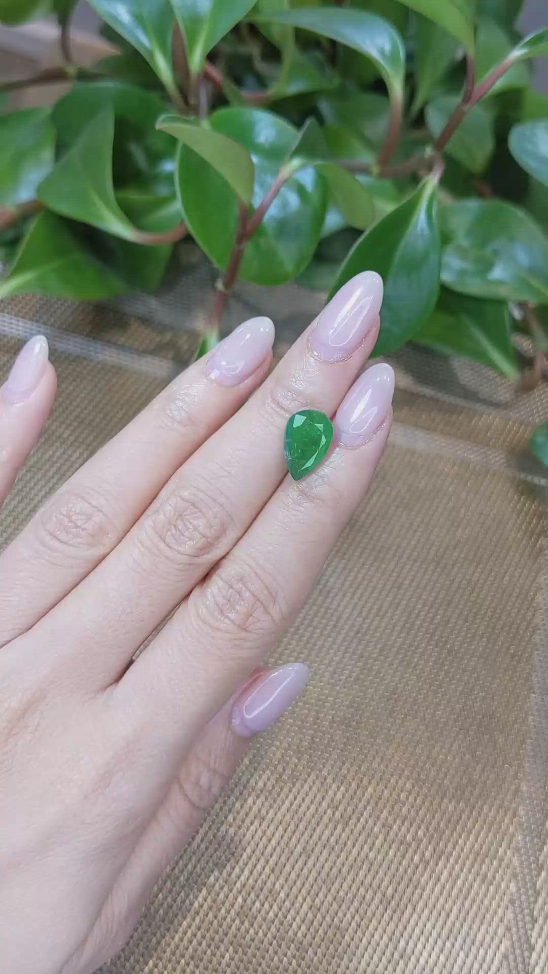 3.69 Ct. Emerald from Zambia Size Video