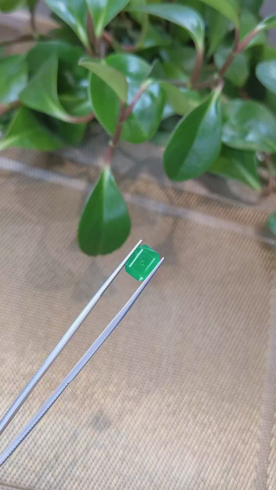 3.04 Ct. Emerald from Zambia Size Video