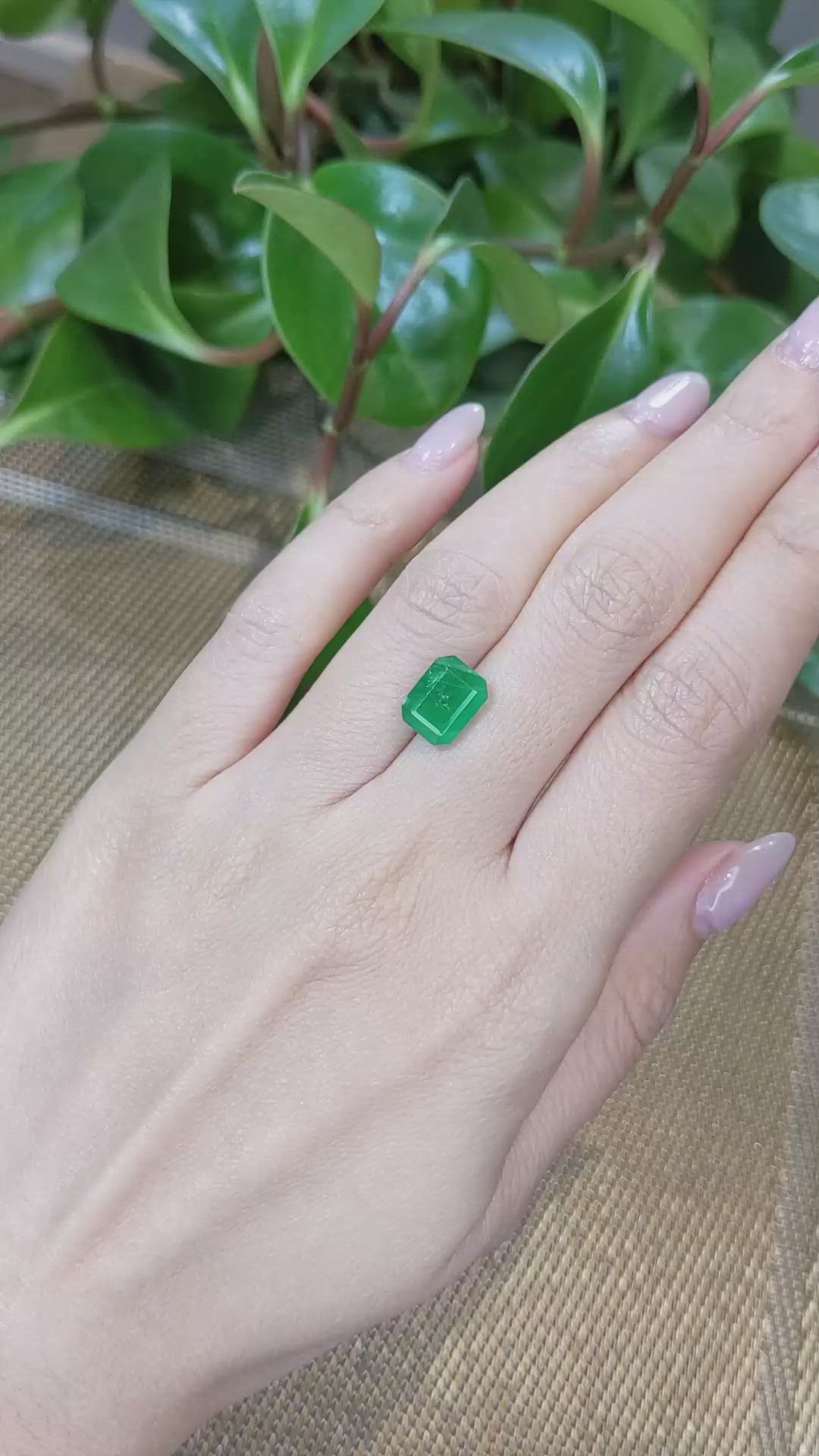 3.04 Ct. Emerald from Zambia Size Video