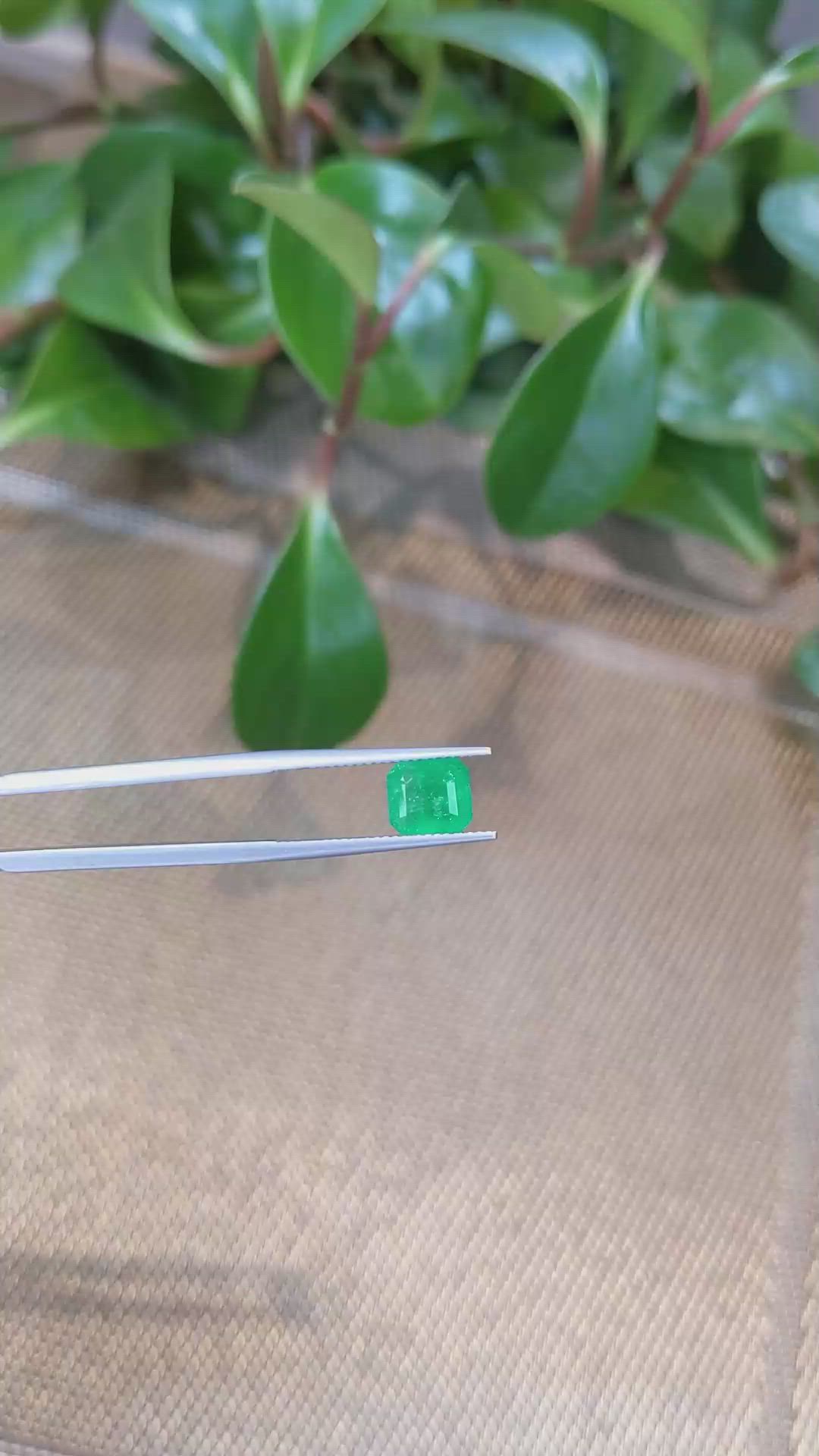 2.24 Ct. Emerald from Zambia Size Video