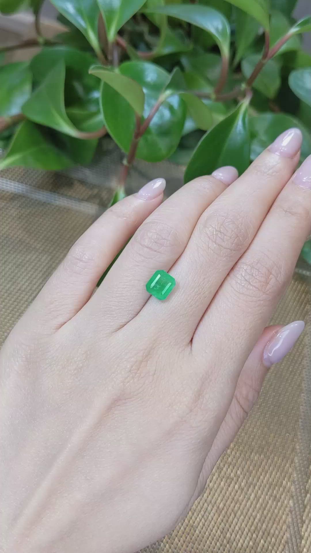 2.24 Ct. Emerald from Zambia Size Video