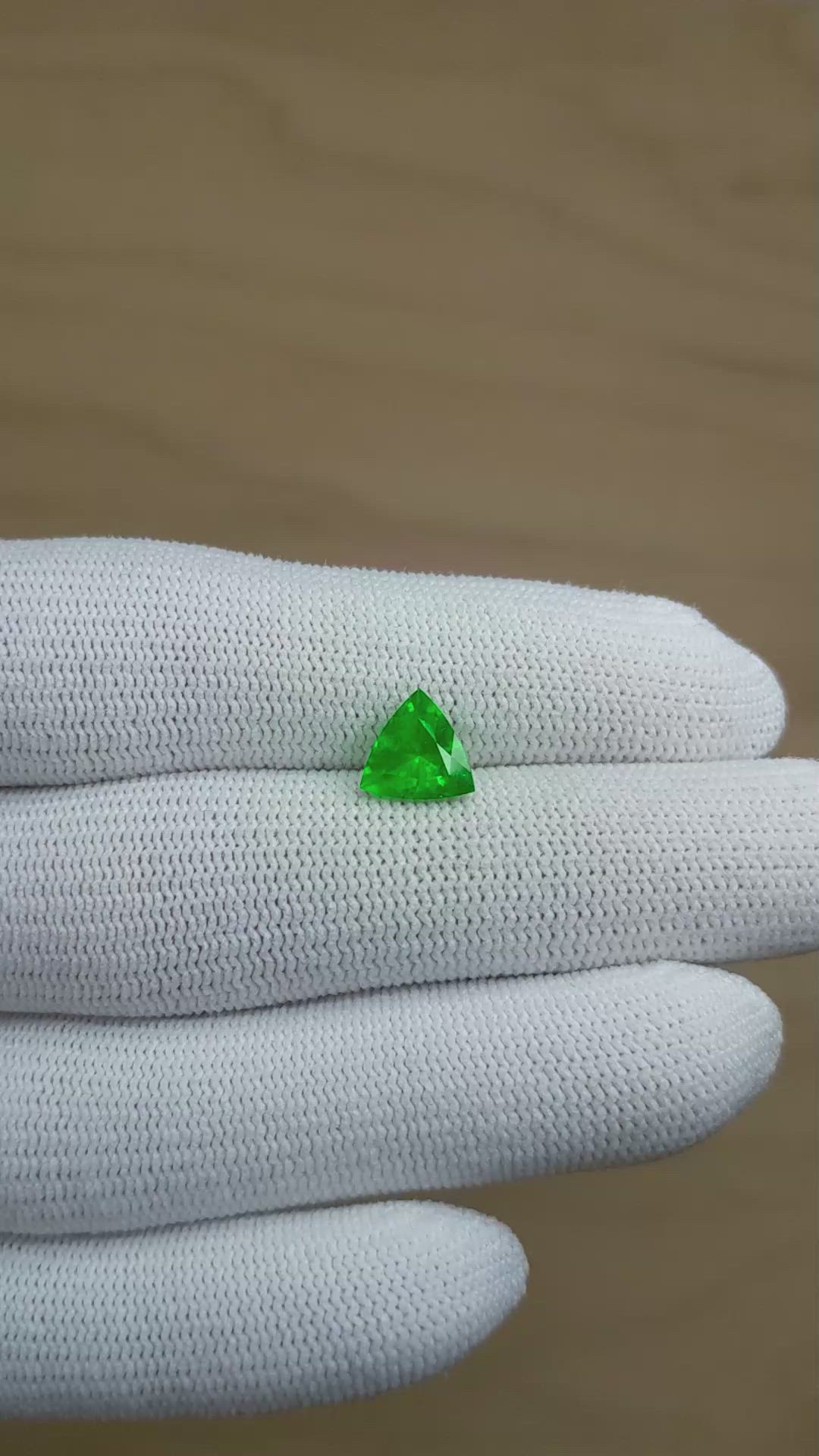1.29 Ct. Emerald from Colombia Size Video
