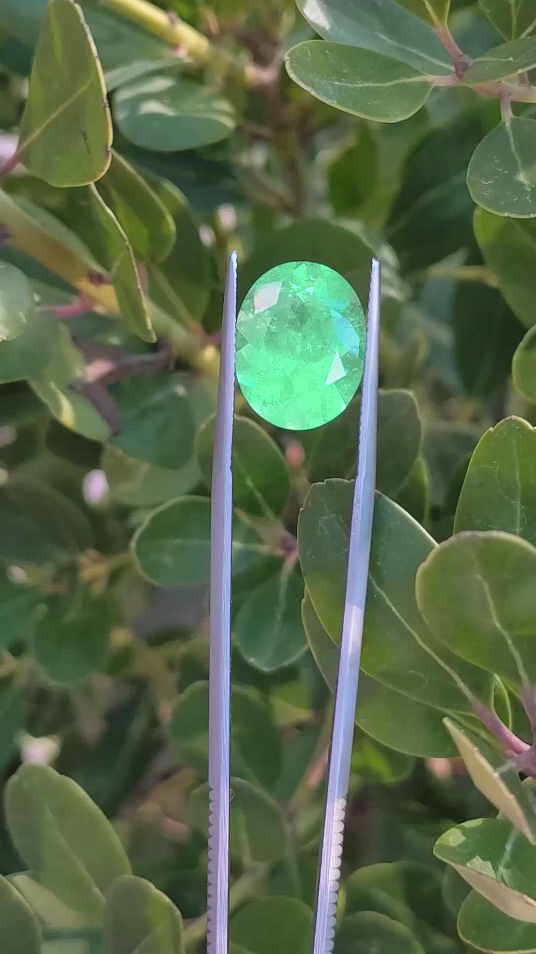 7.24 Ct. Emerald from Colombia Size Video