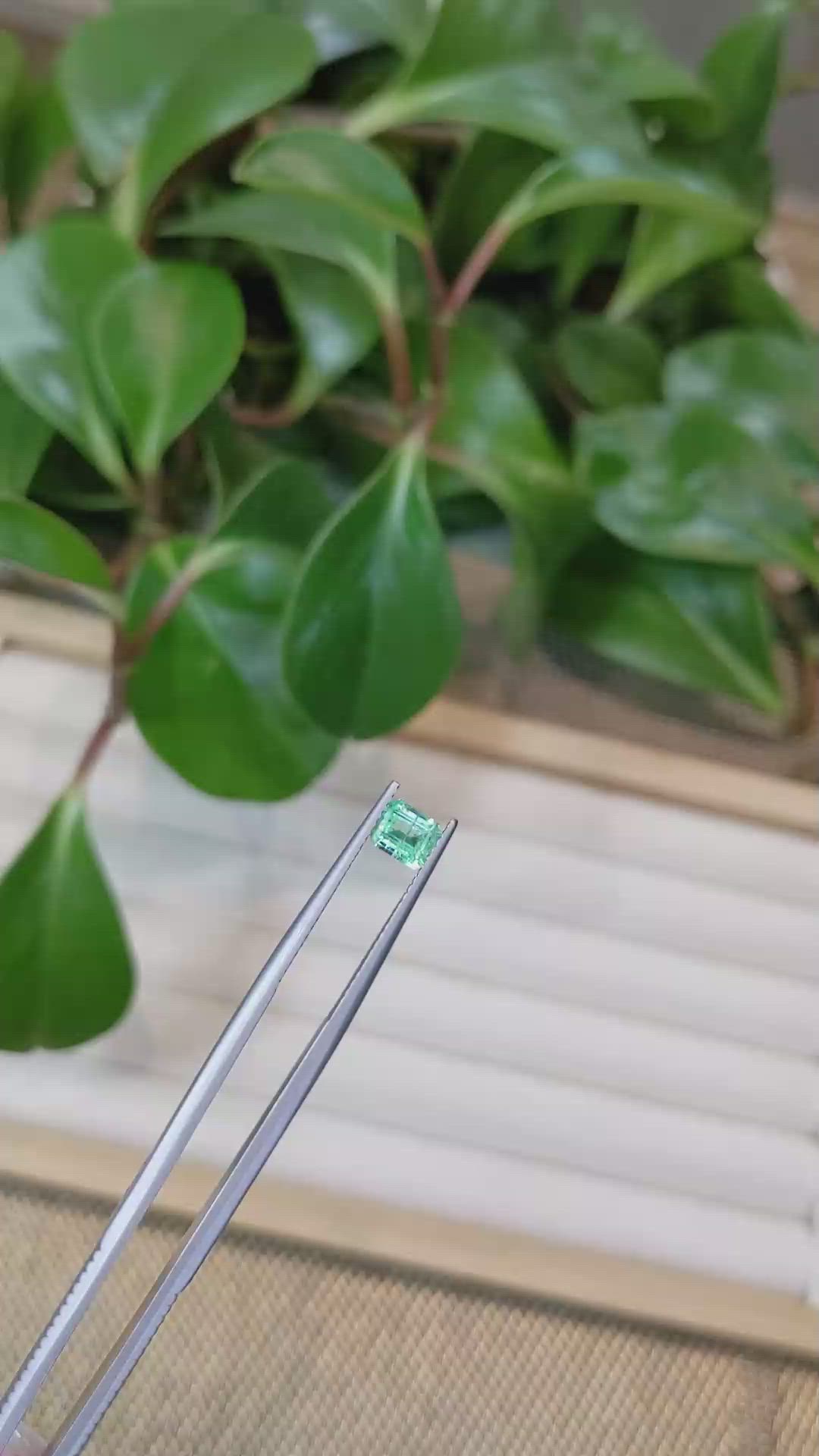 0.53 Ct. Emerald from Colombia Size Video