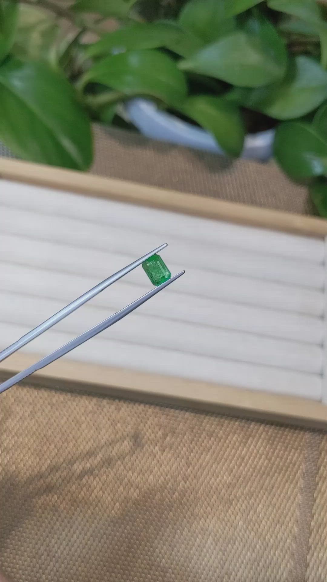 1.10 Ct. Emerald from Zambia Size Video