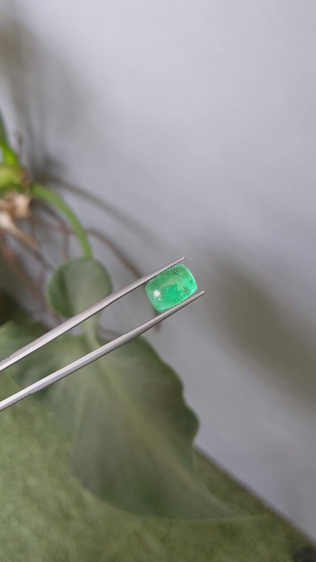 5.34 Ct. Cabochon Emerald from Russia Size Video