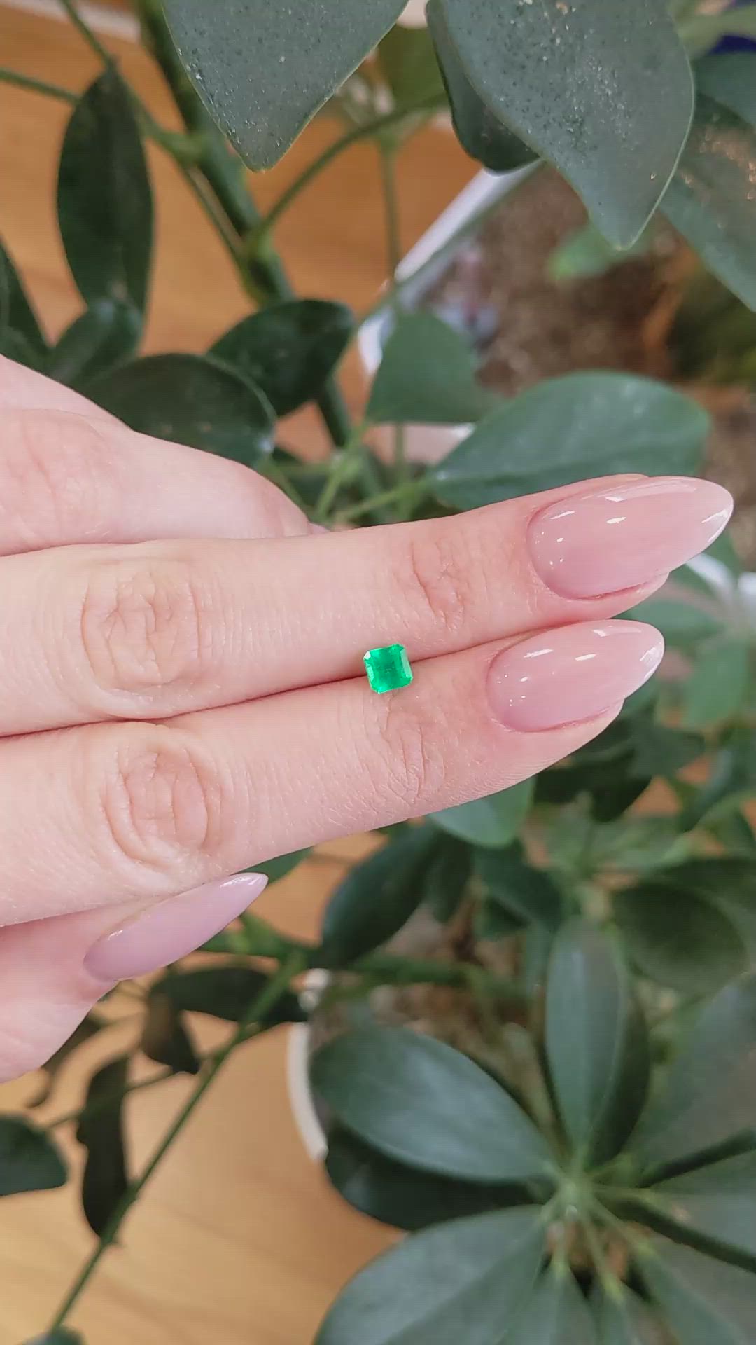 0.48 Ct. Emerald from Afghanistan Size Video