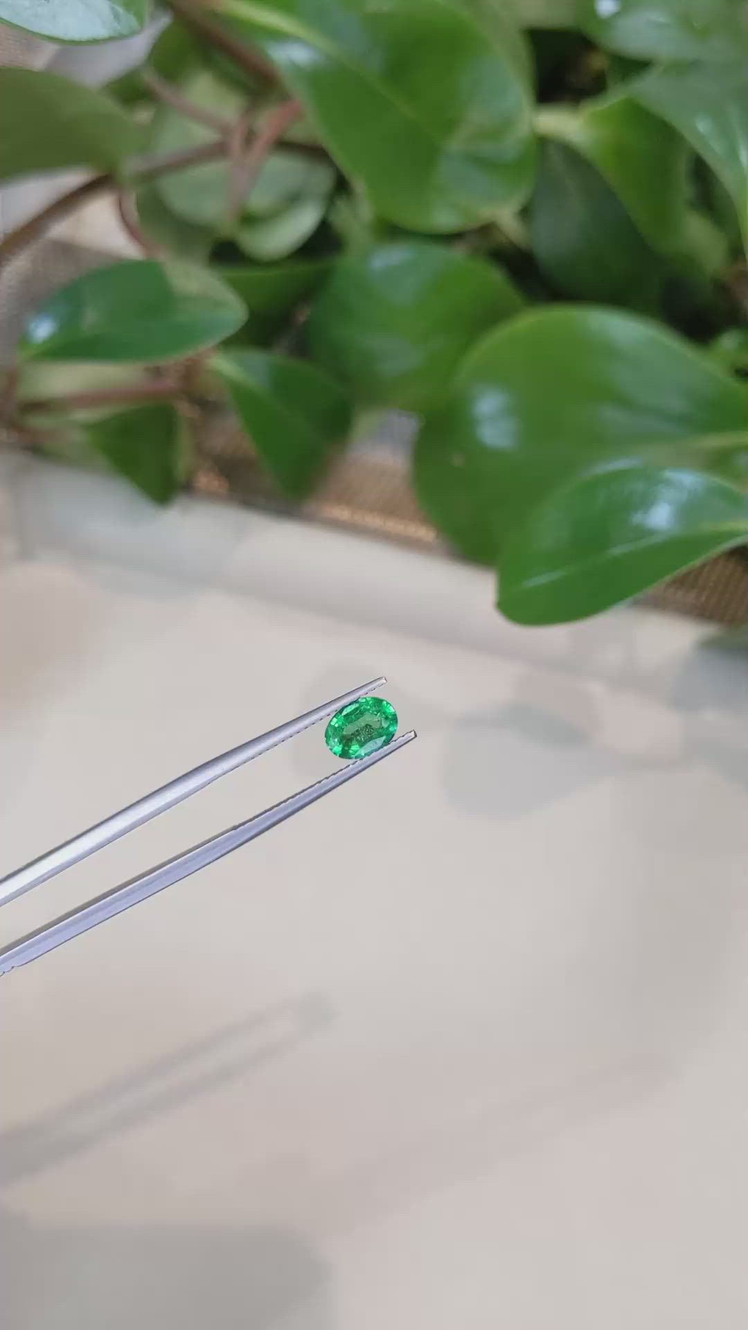 1.04 Ct. Emerald from Zambia Size Video
