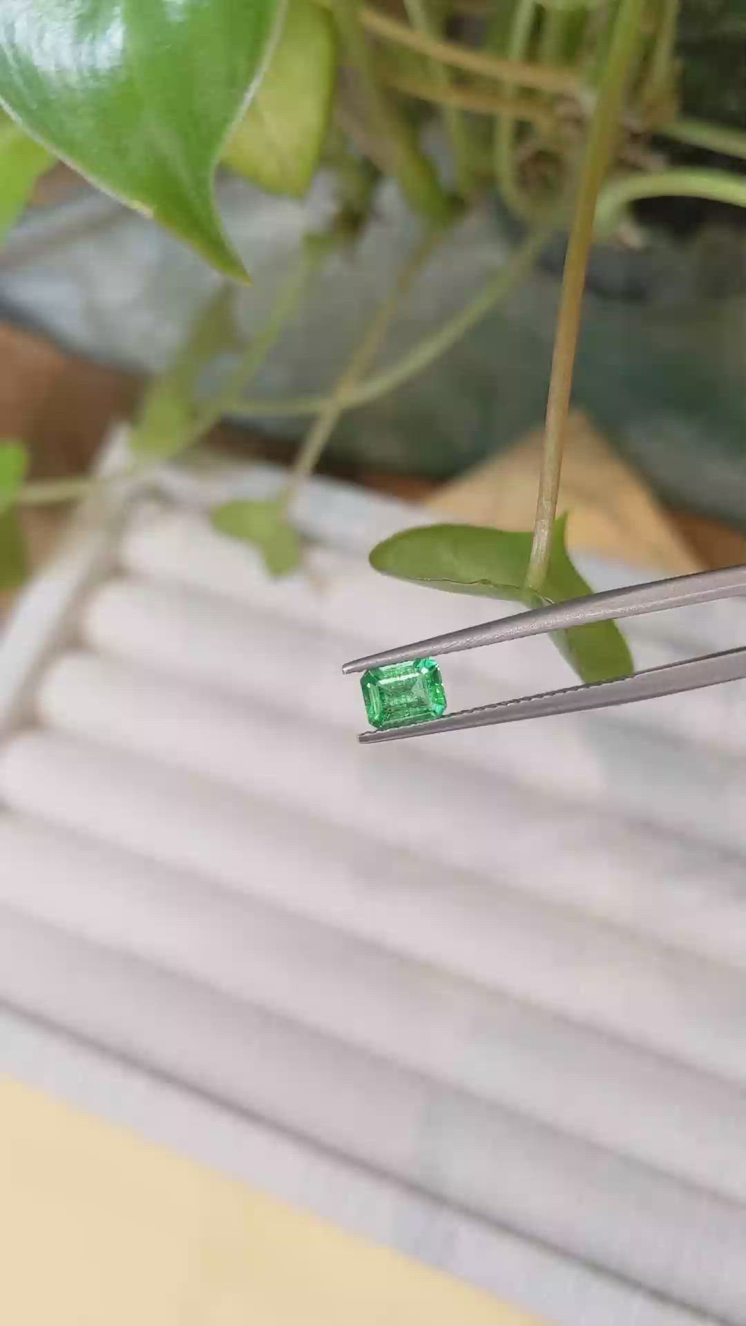 0.68 Ct. Emerald from Afghanistan Size Video