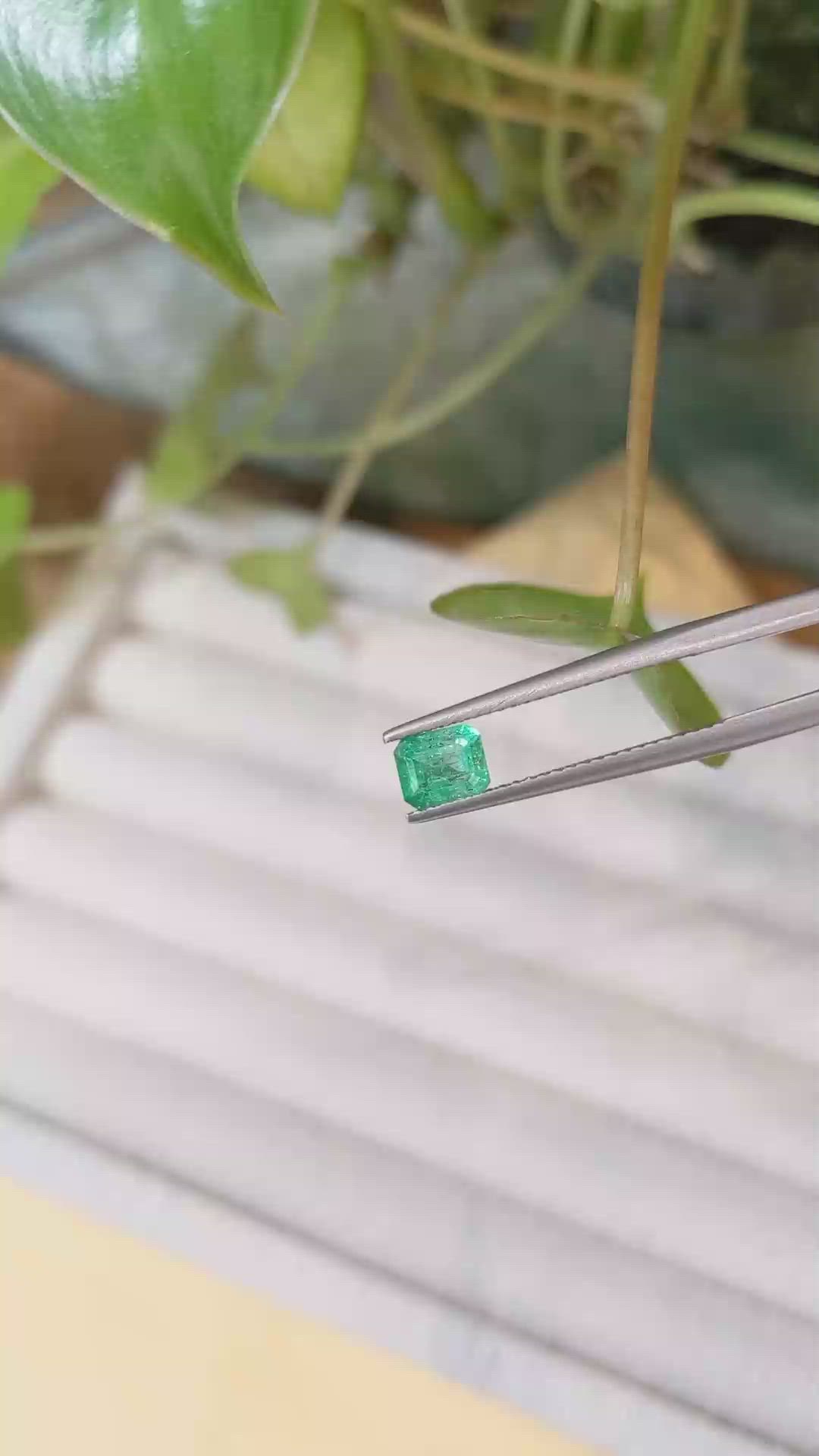 0.55 Ct. Emerald from Afghanistan Size Video