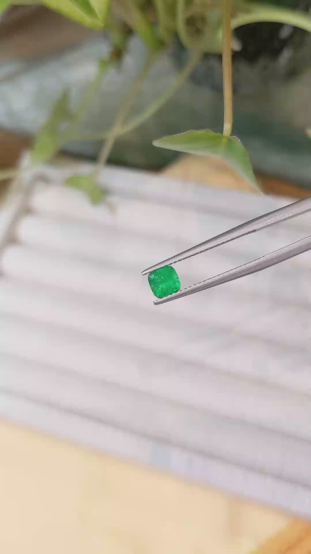 0.50 Ct. Emerald from Afghanistan Size Video