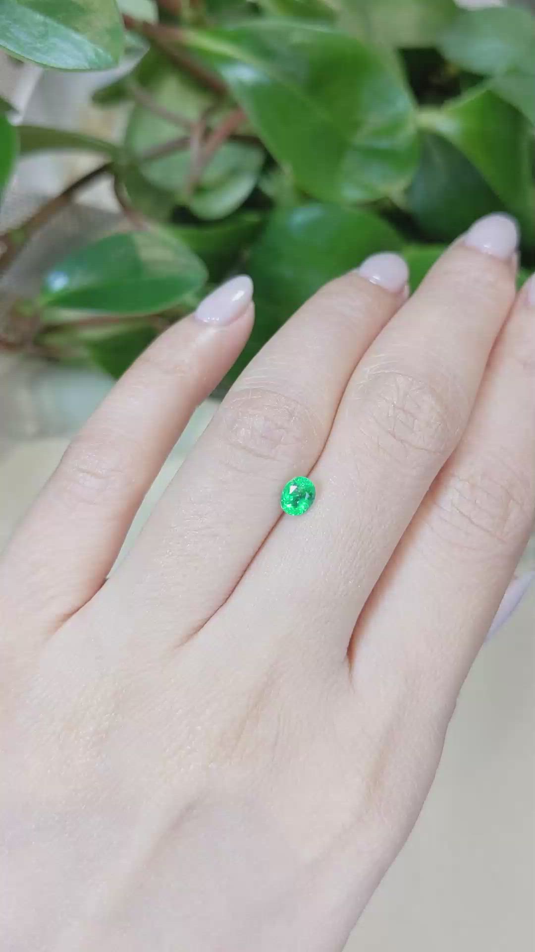 0.48 Ct. Emerald from Afghanistan Size Video