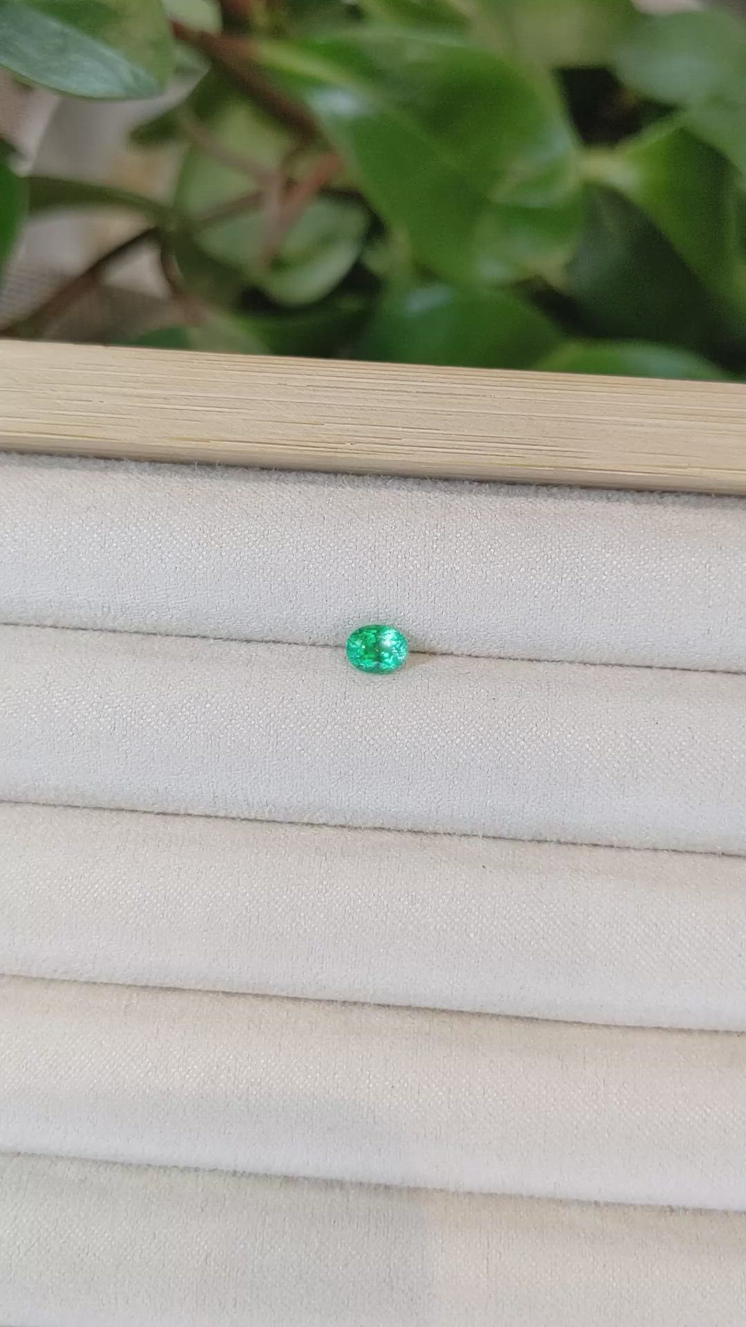0.48 Ct. Emerald from Afghanistan Size Video