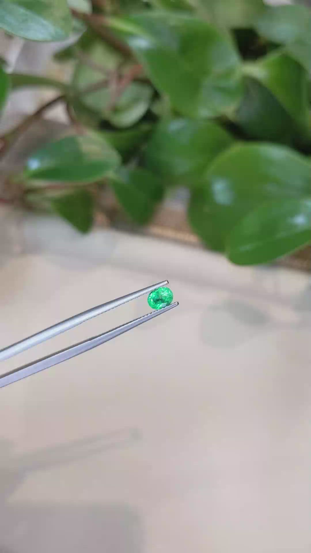 0.48 Ct. Emerald from Afghanistan Size Video