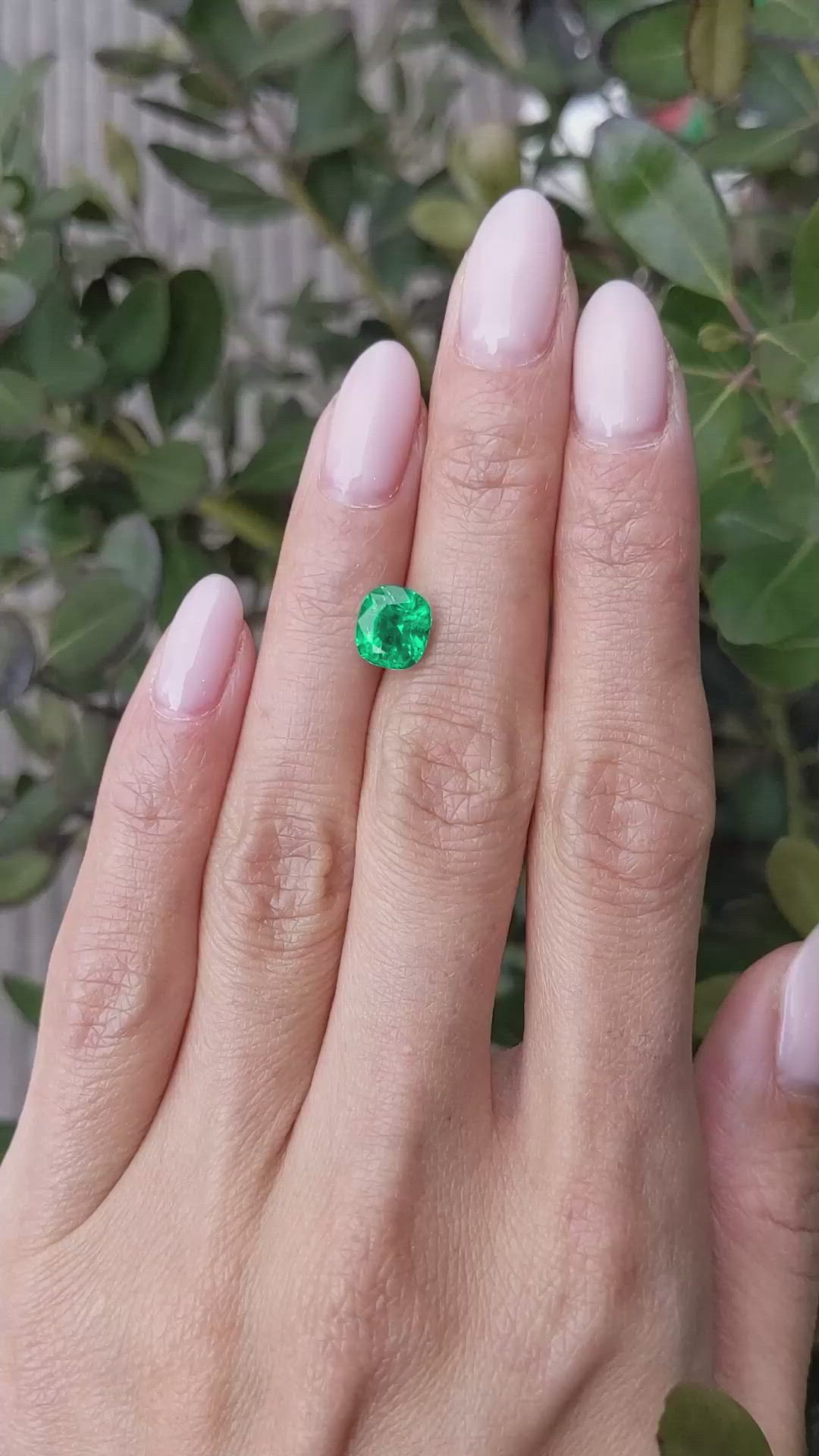 1.82 Ct. Emerald from Zambia Size Video