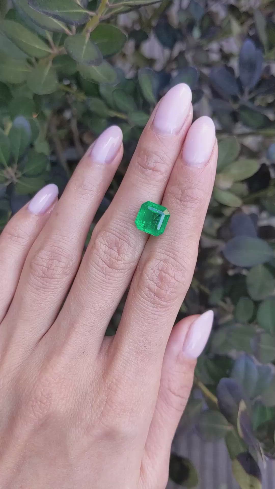 4.06 Ct. Emerald from Zambia Size Video