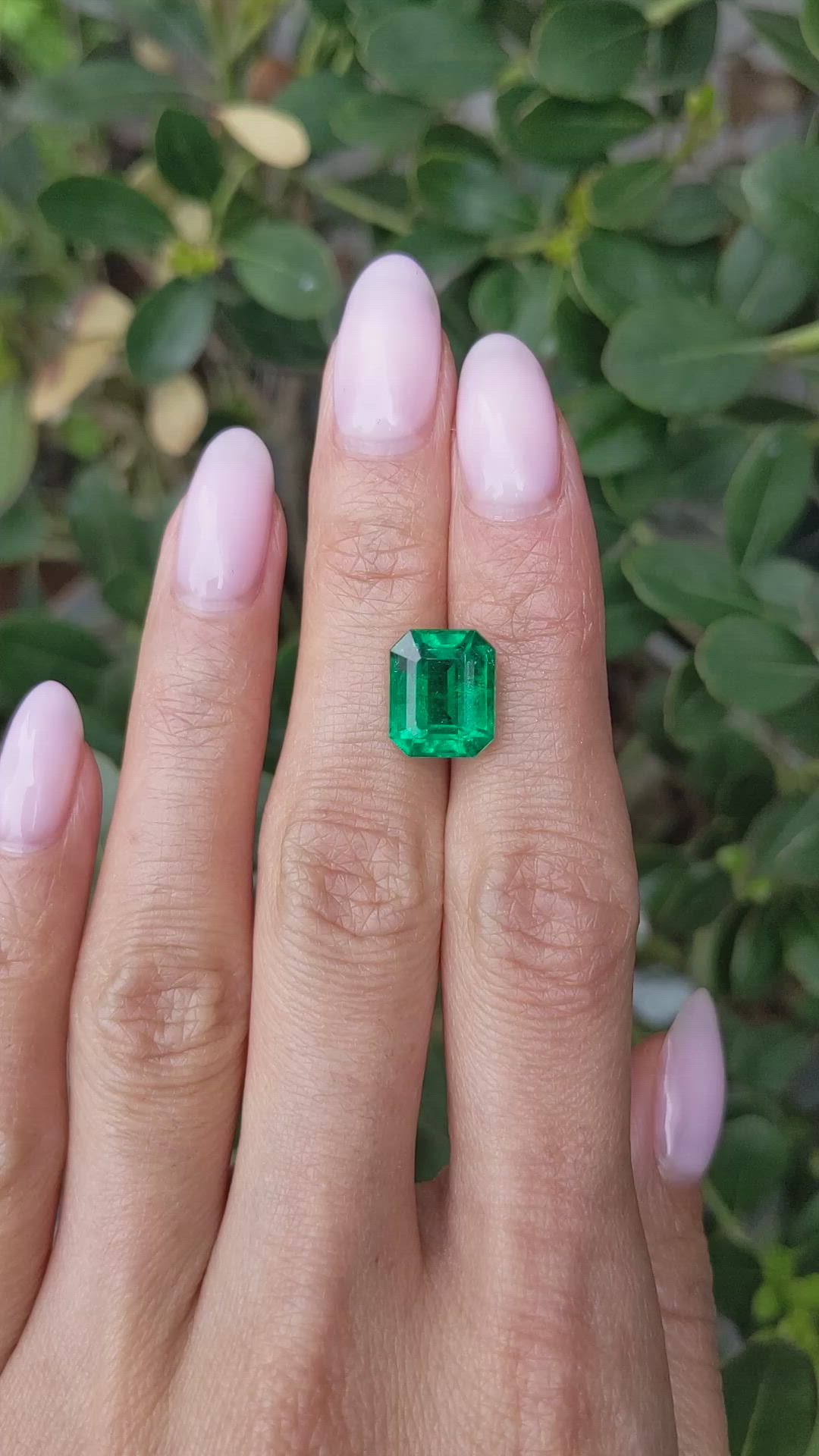 5.49 Ct. Emerald from Zambia Size Video