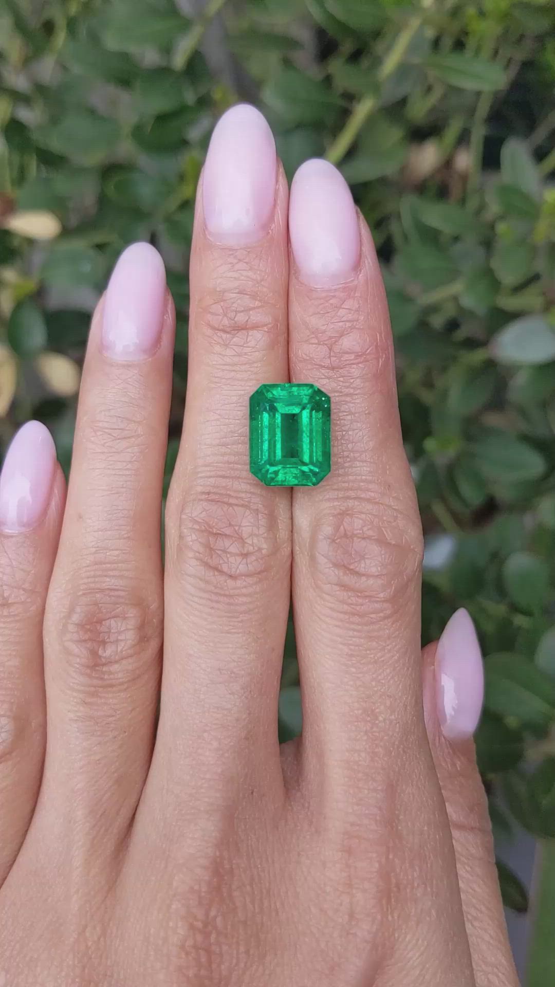 8.70 Ct. Emerald from Zambia Size Video