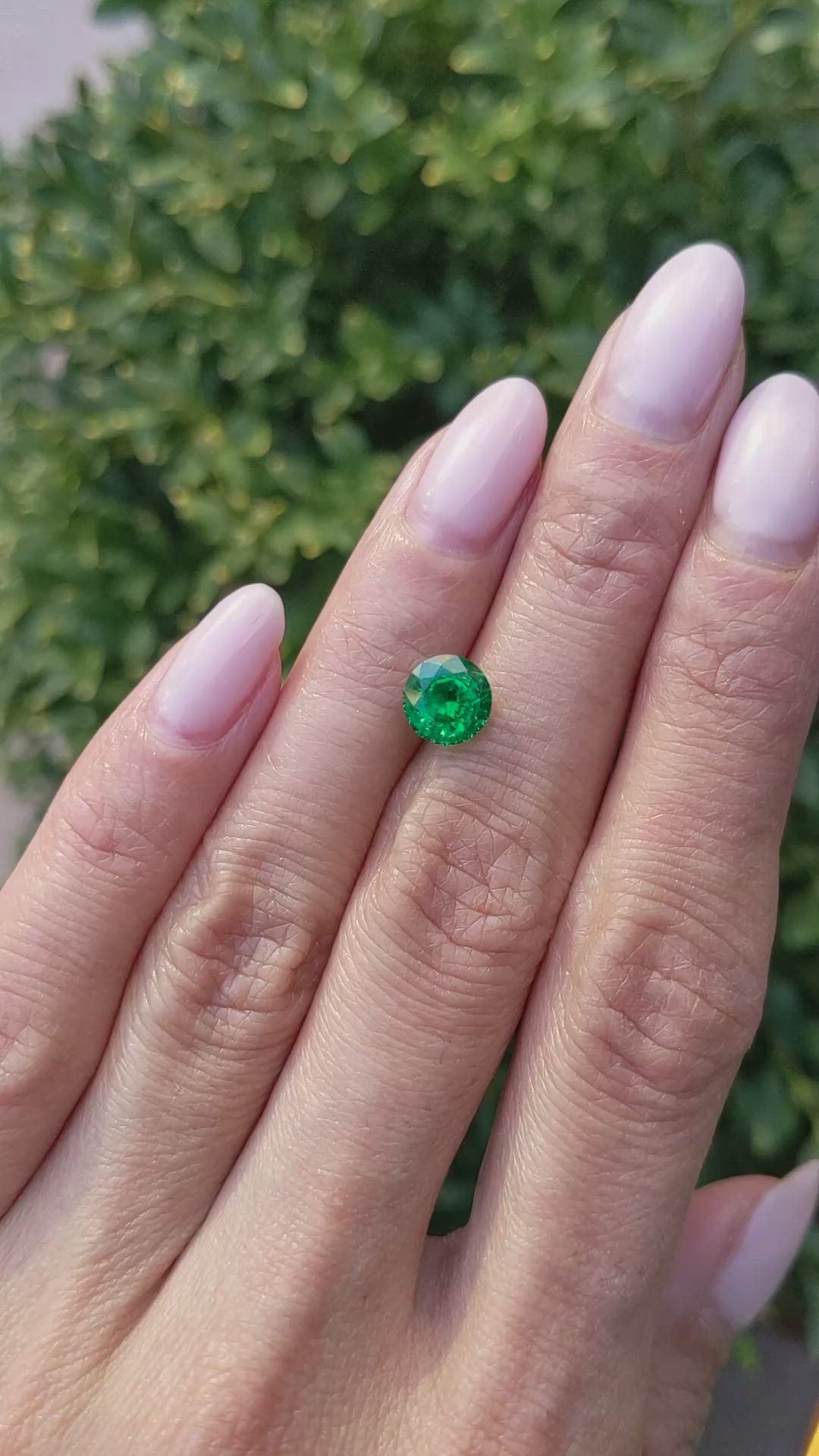 1.46 Ct. Emerald from Zambia Size Video