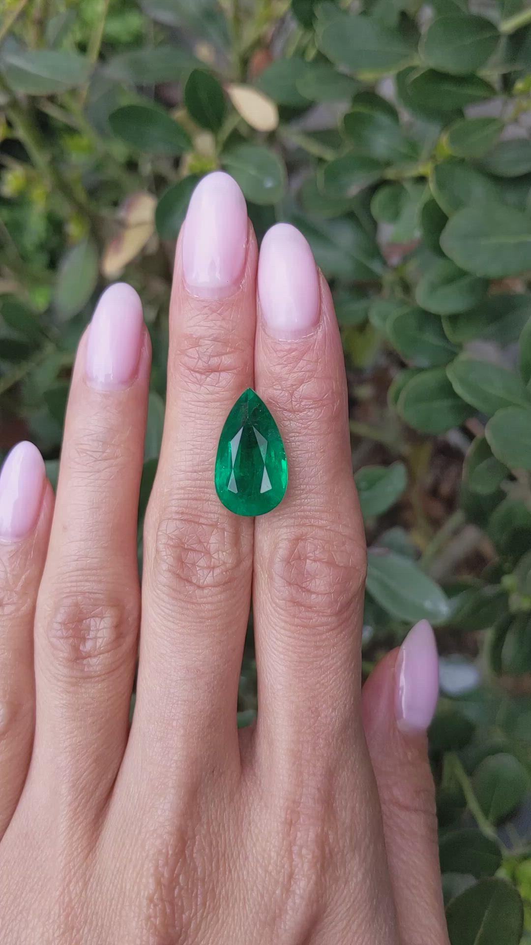 9.18 Ct. Emerald from Zambia Size Video