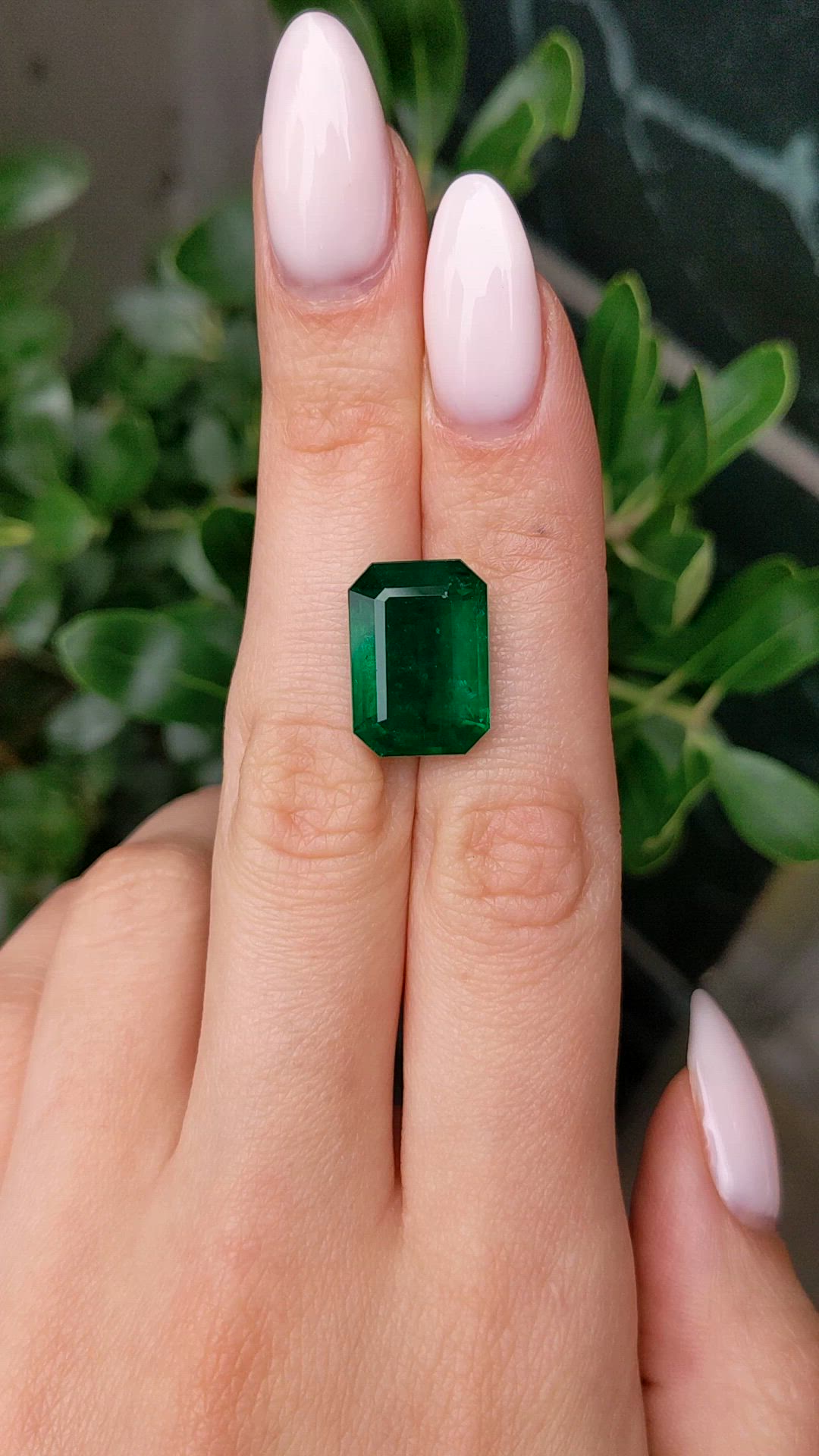 11.96 Ct. Emerald from Zambia Size Video