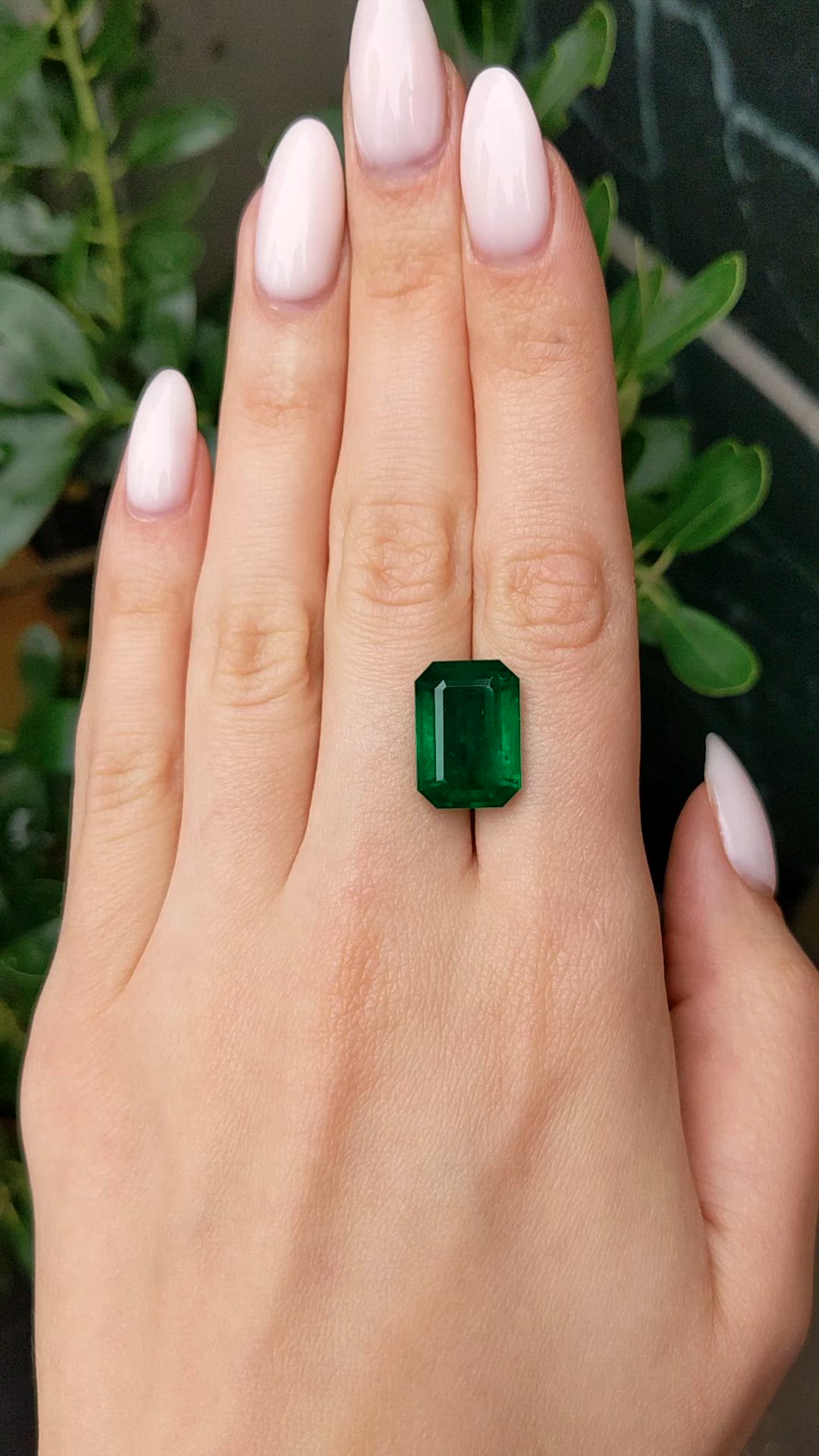 11.96 Ct. Emerald from Zambia Size Video