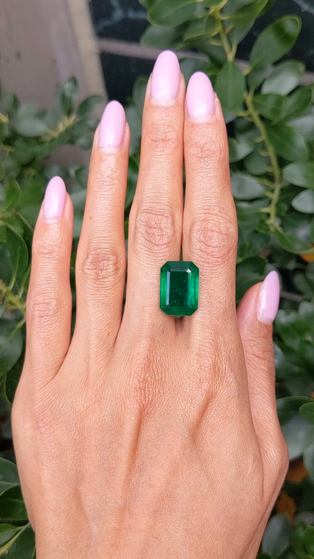 11.96 Ct. Emerald from Zambia Size Video
