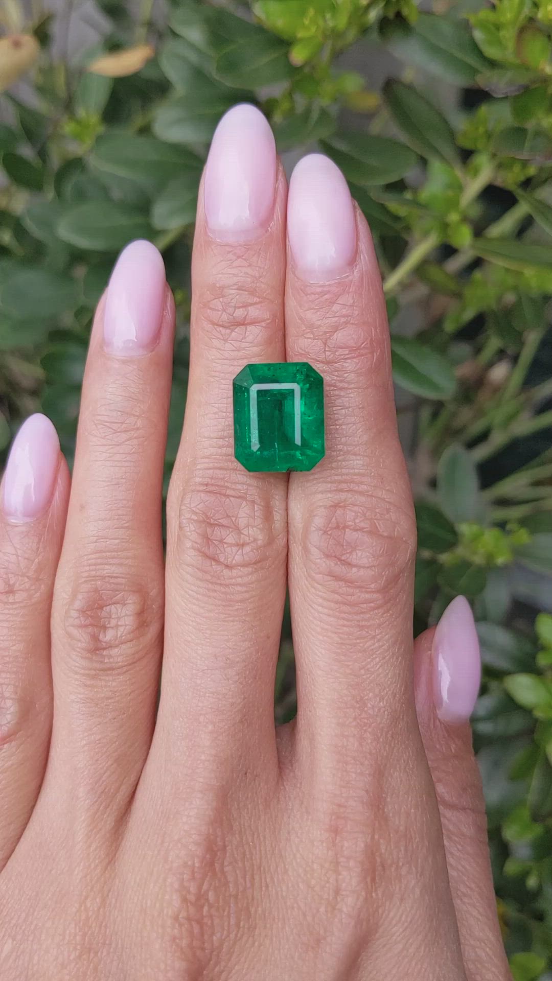 11.33 Ct. Emerald from Zambia Size Video